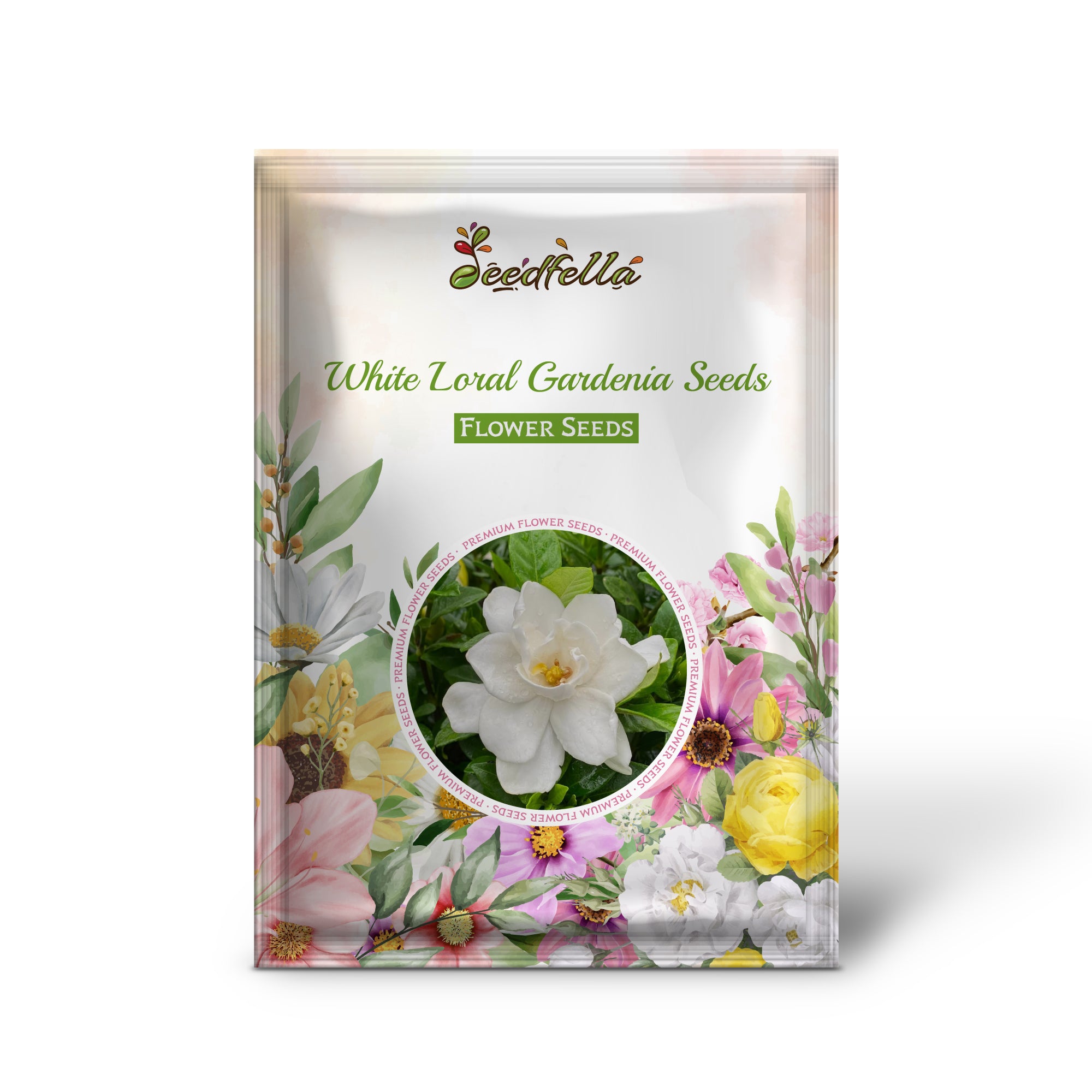 Fragrant white Gardenia flowers in bloom