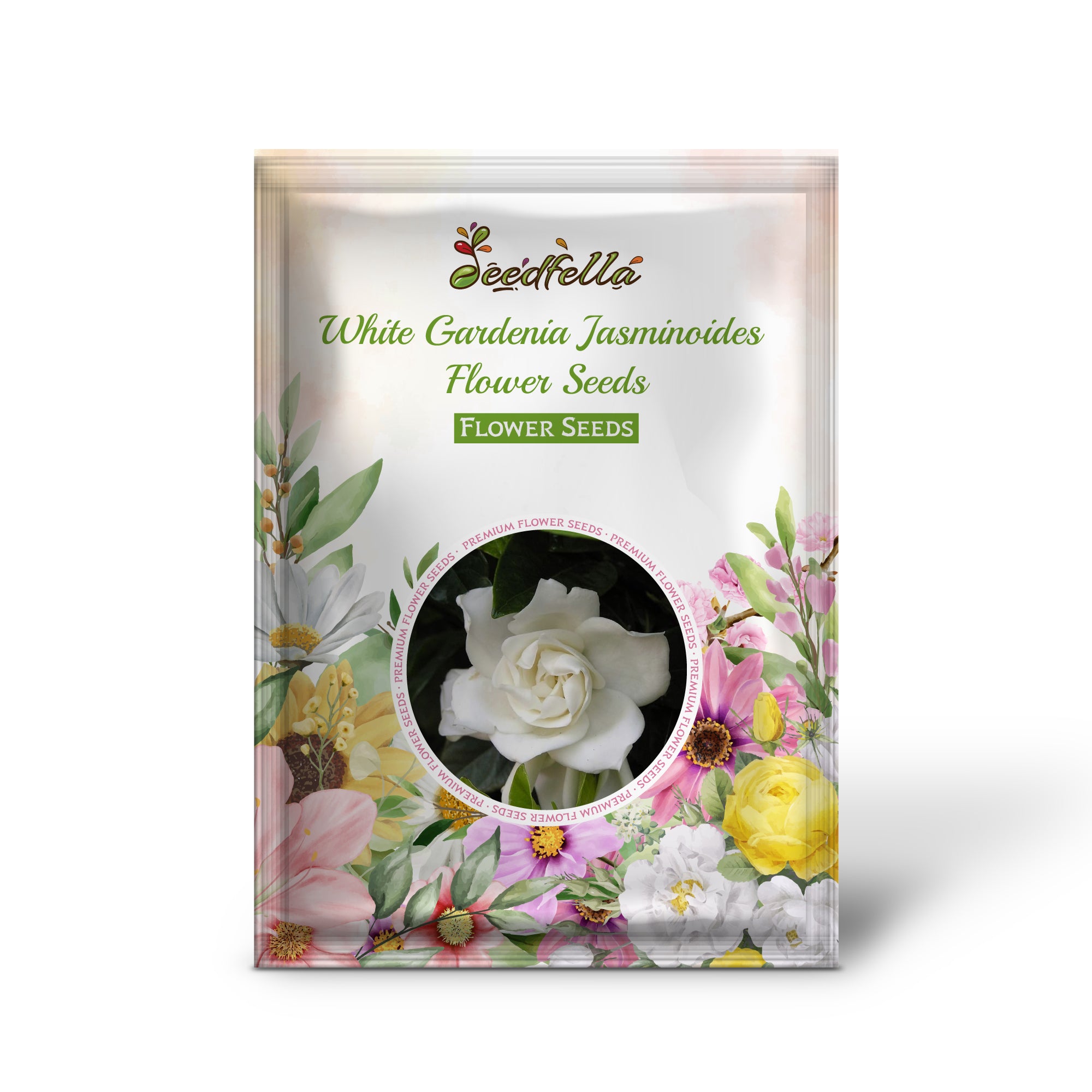 White Gardenia Cape Jasmine fragrant flowers