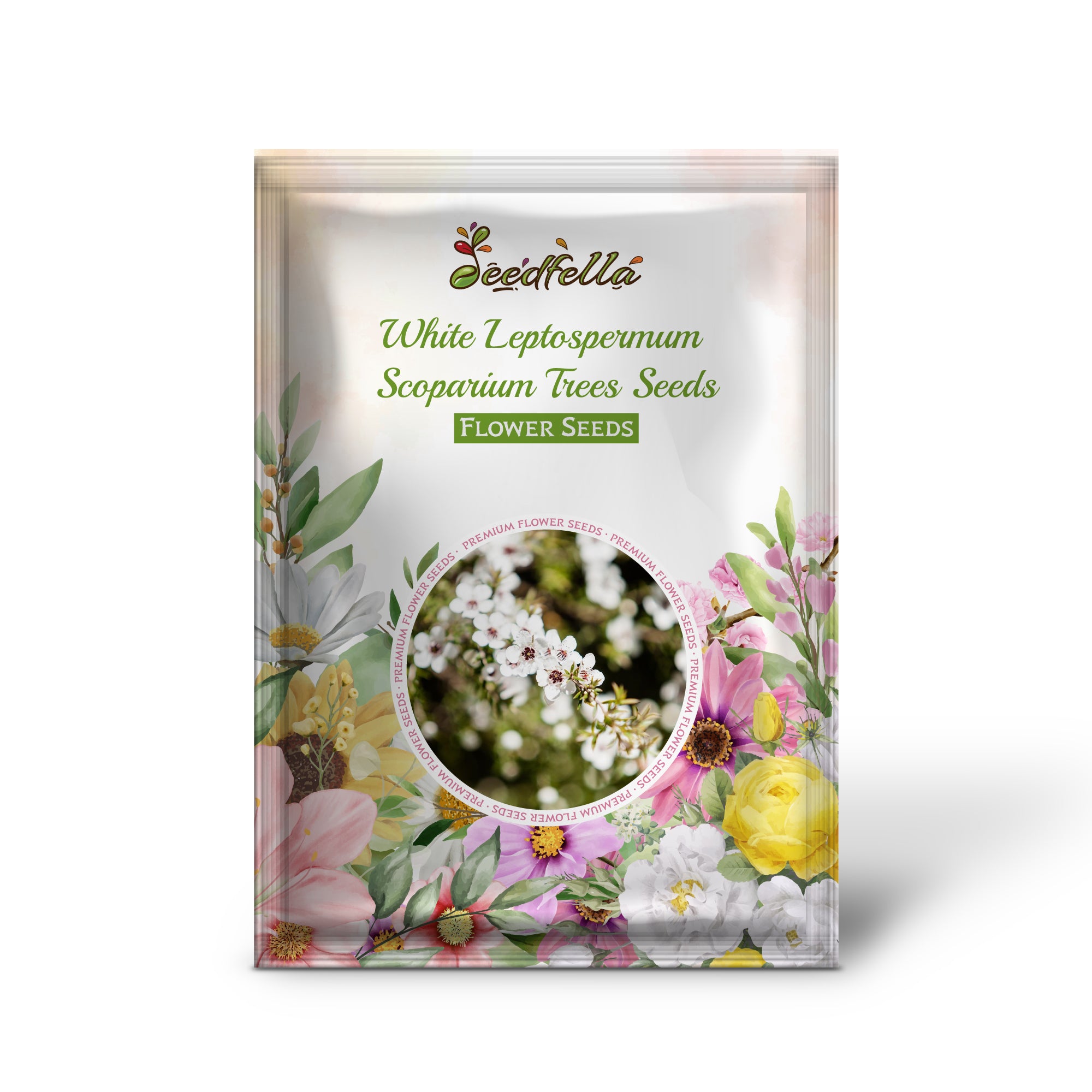 White Leptospermum Scoparium flowers blooming in garden