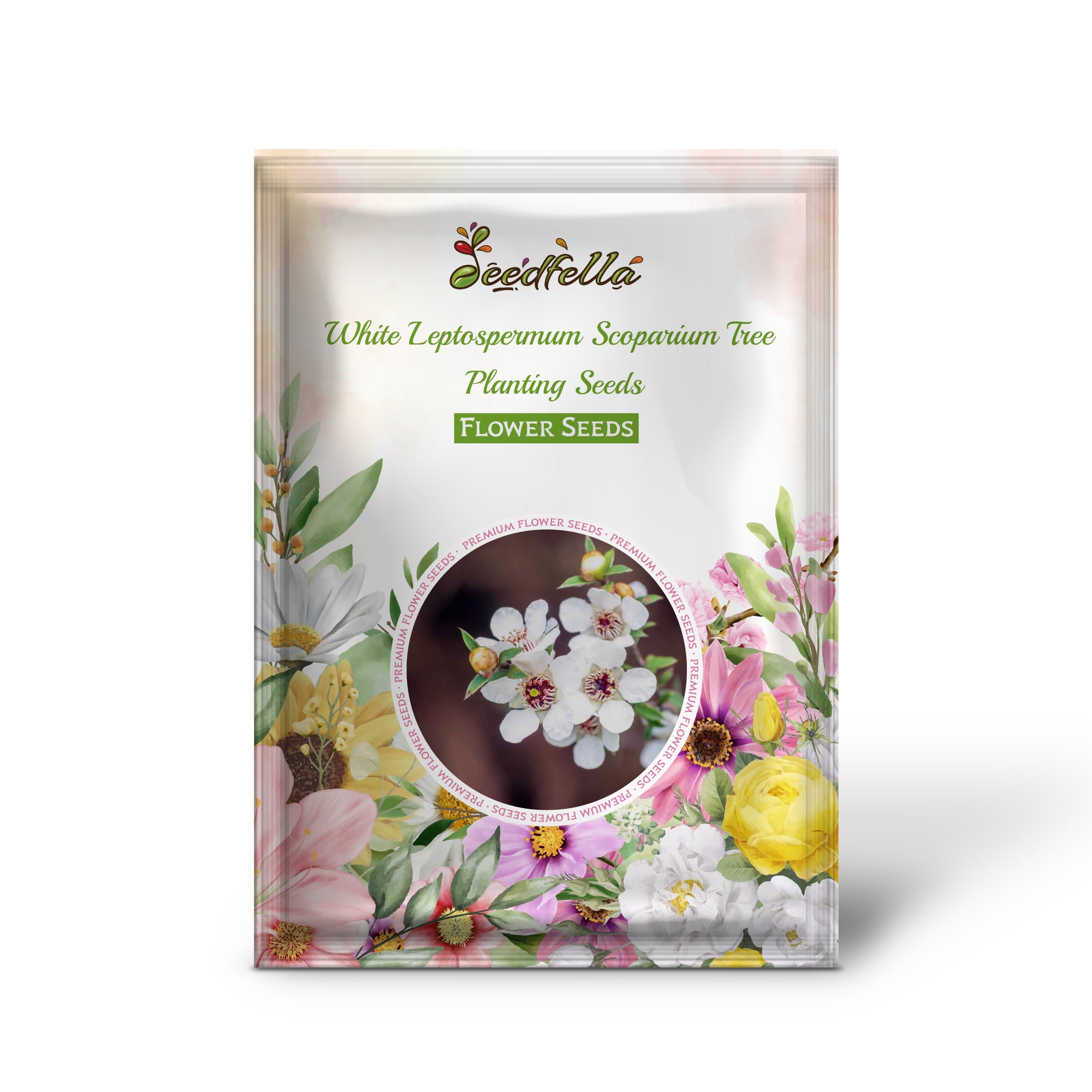 White Leptospermum Scoparium growing in garden