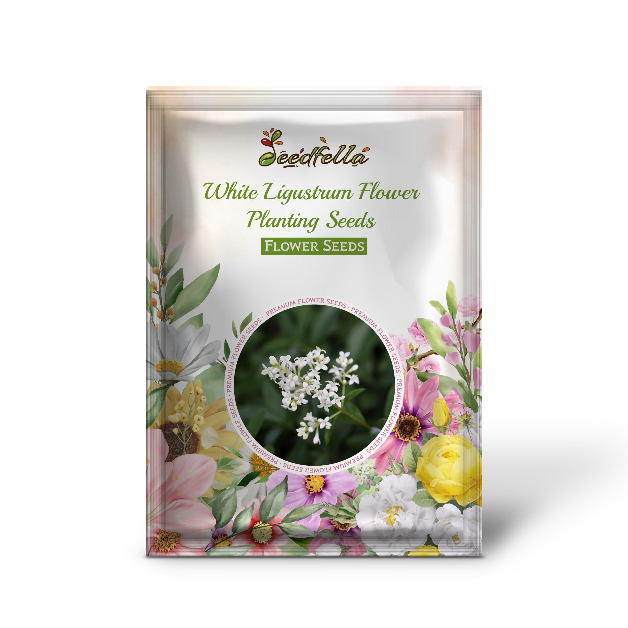 White Ligustrum flowers blooming in garden