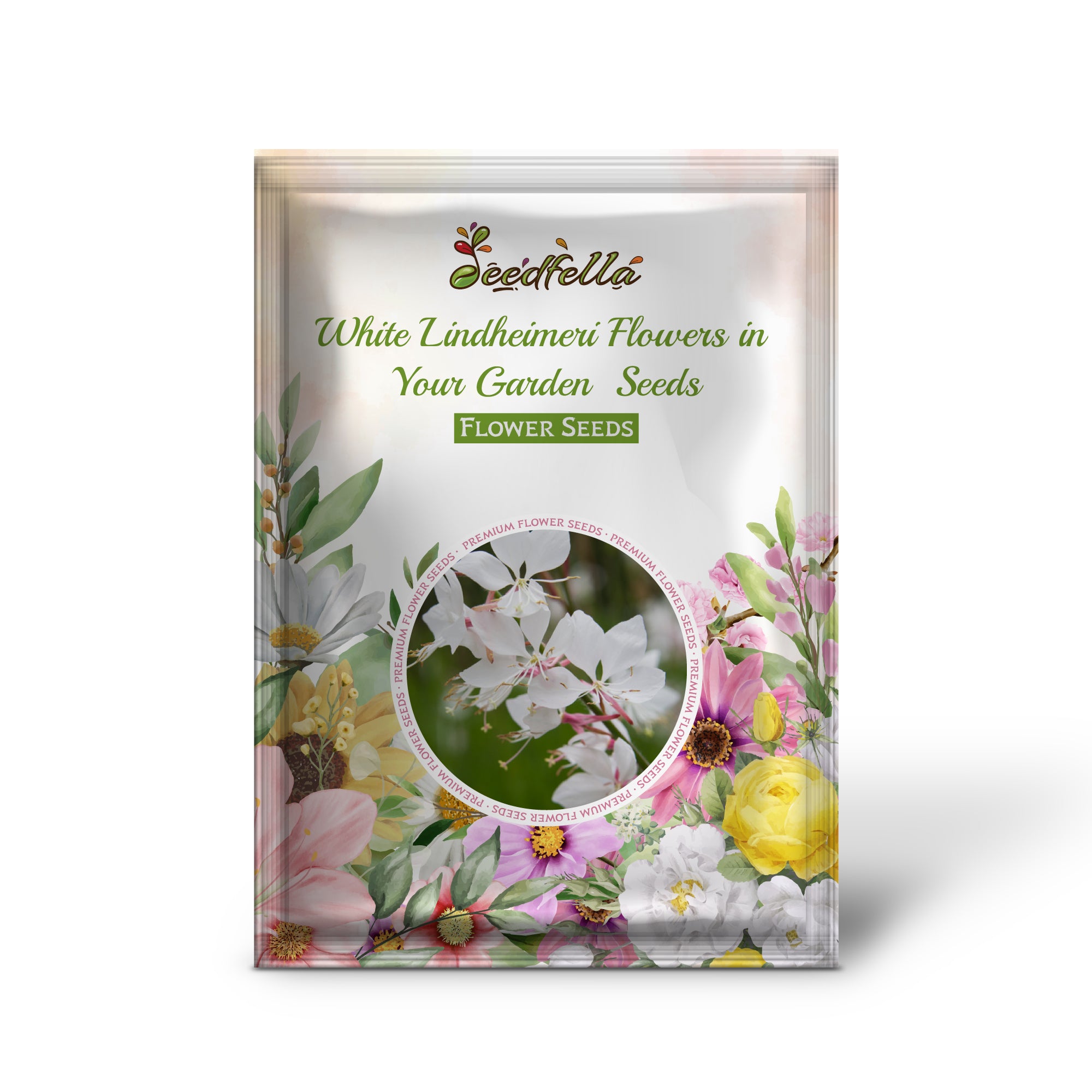 White Lindheimeri flowers blooming in garden