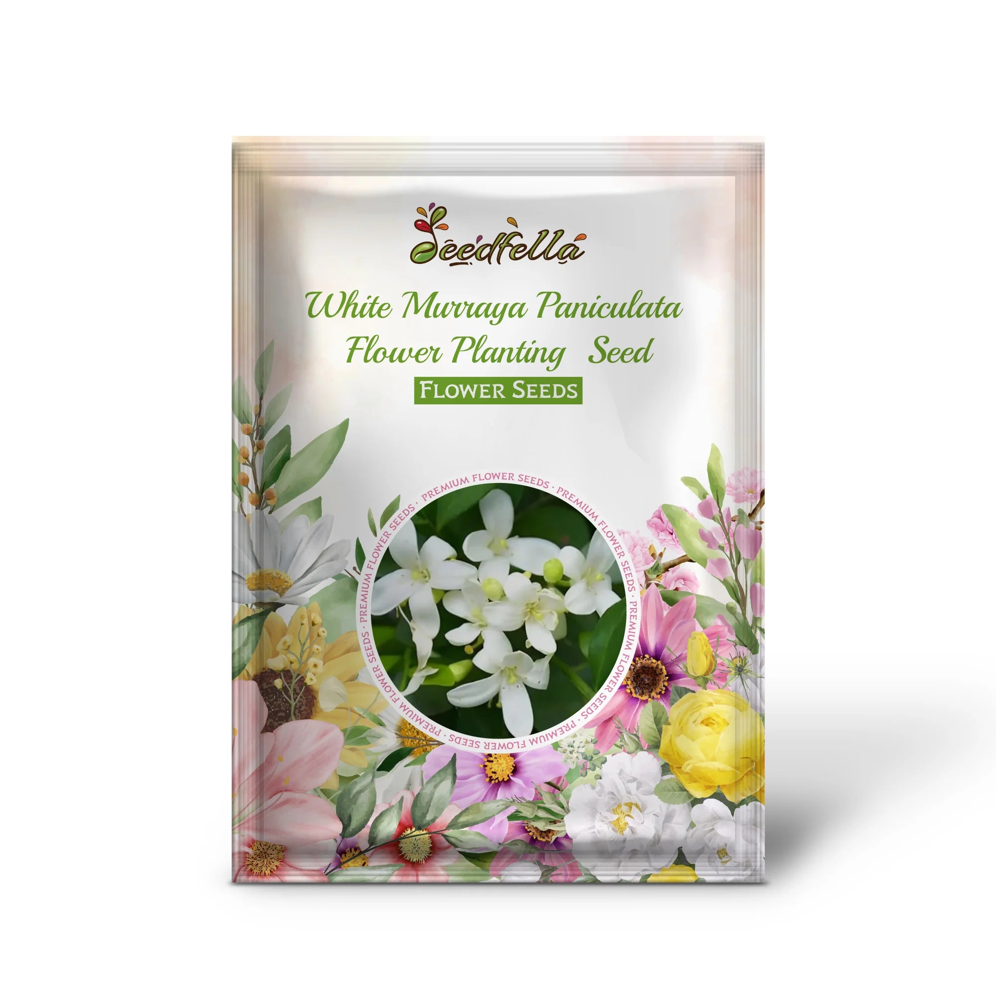 Fragrant white Murraya Paniculata flowers in bloom