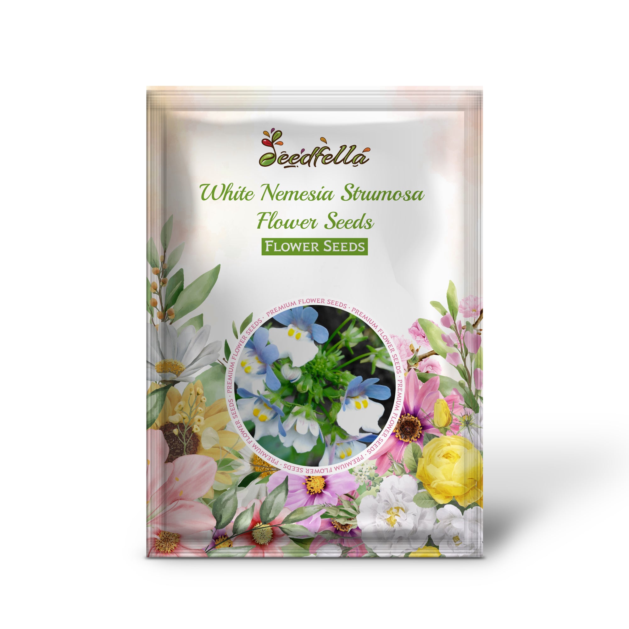 White Nemesia Strumosa flowers blooming in garden