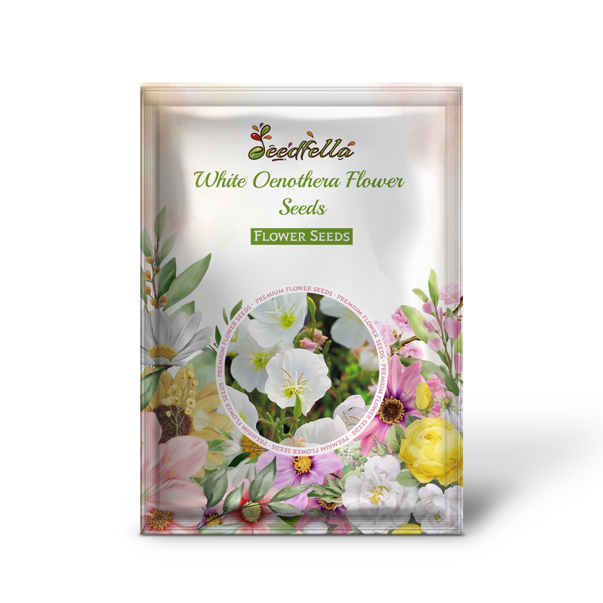 White Oenothera flowers blooming in garden