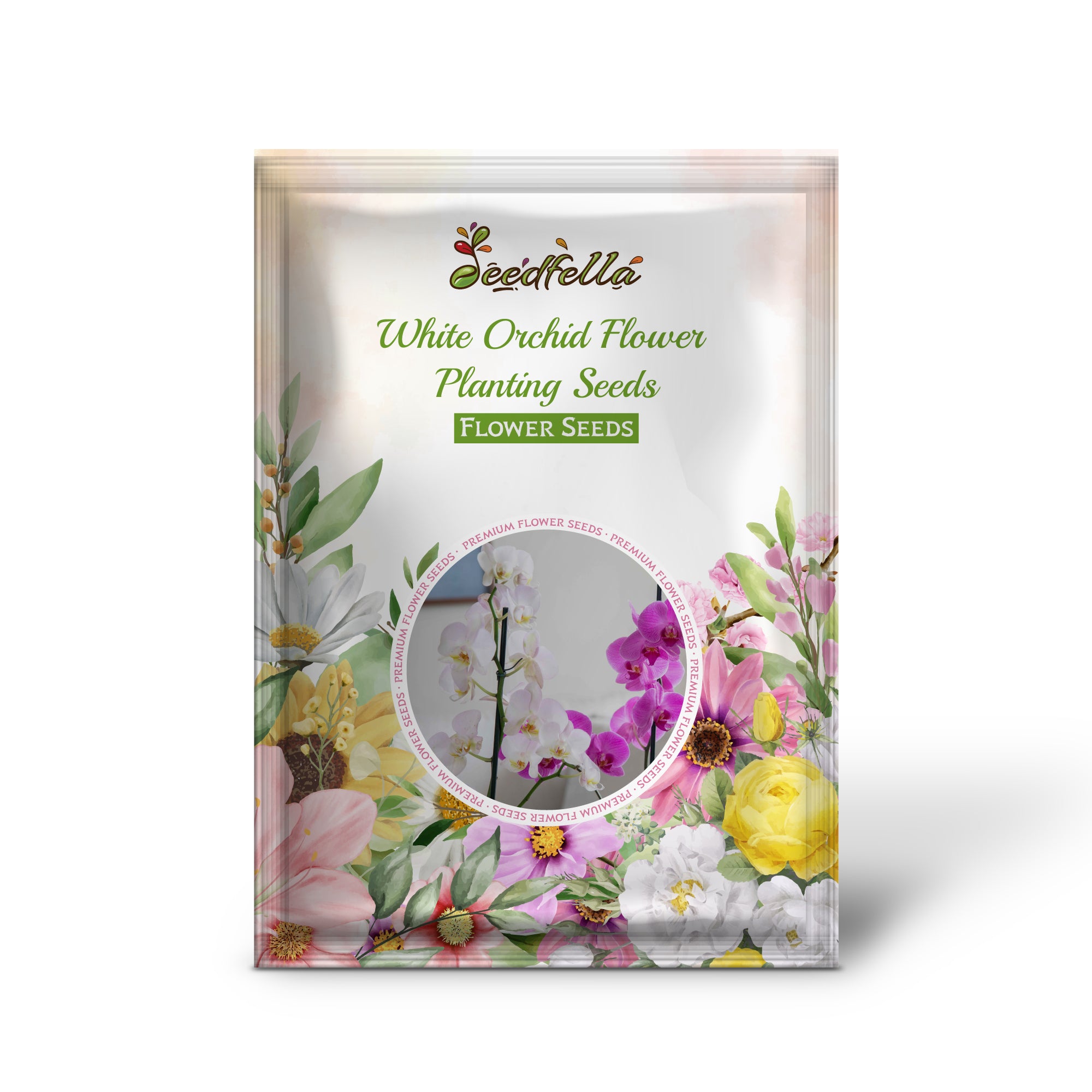 White Orchid flowers blooming in garden