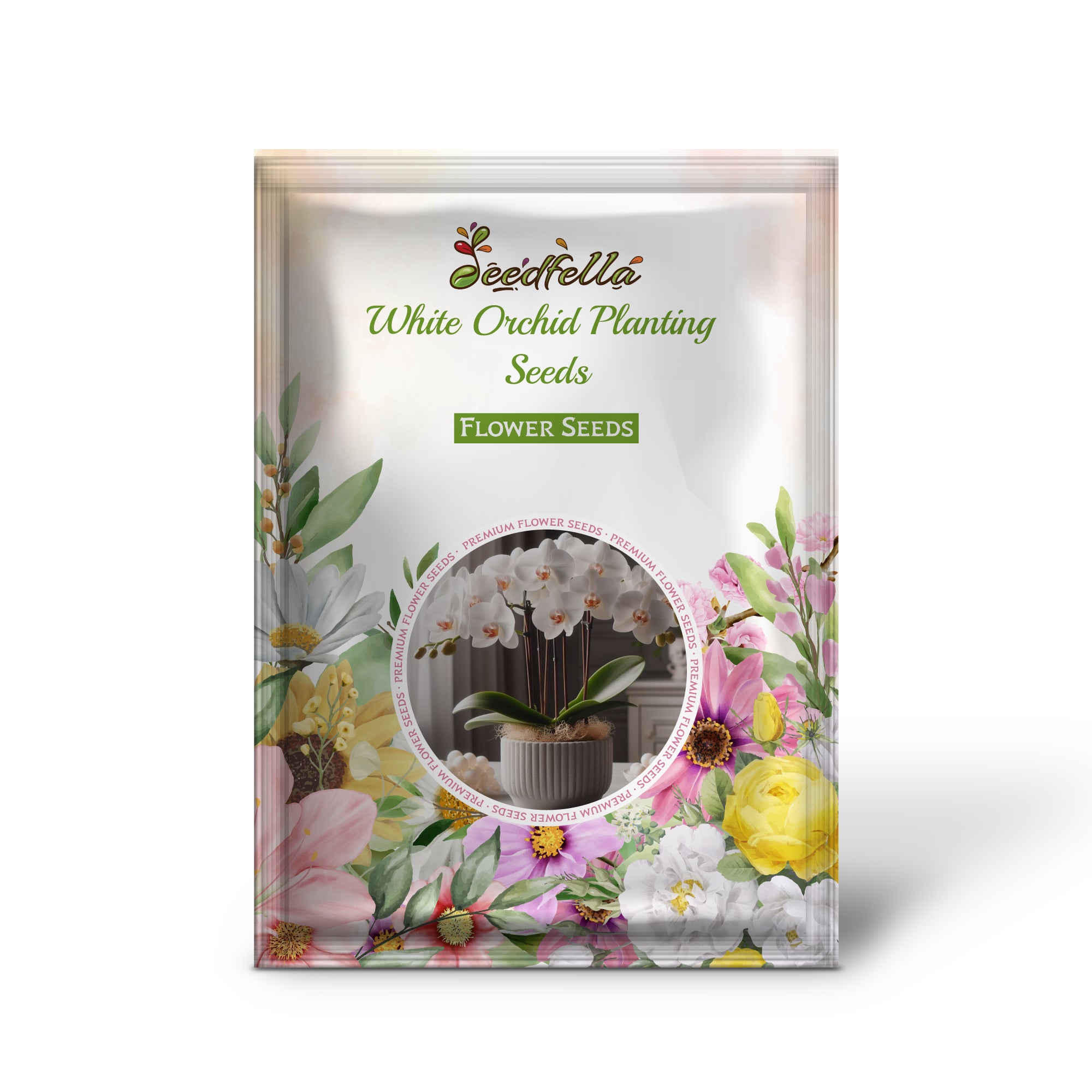 White Orchid growing in home garden