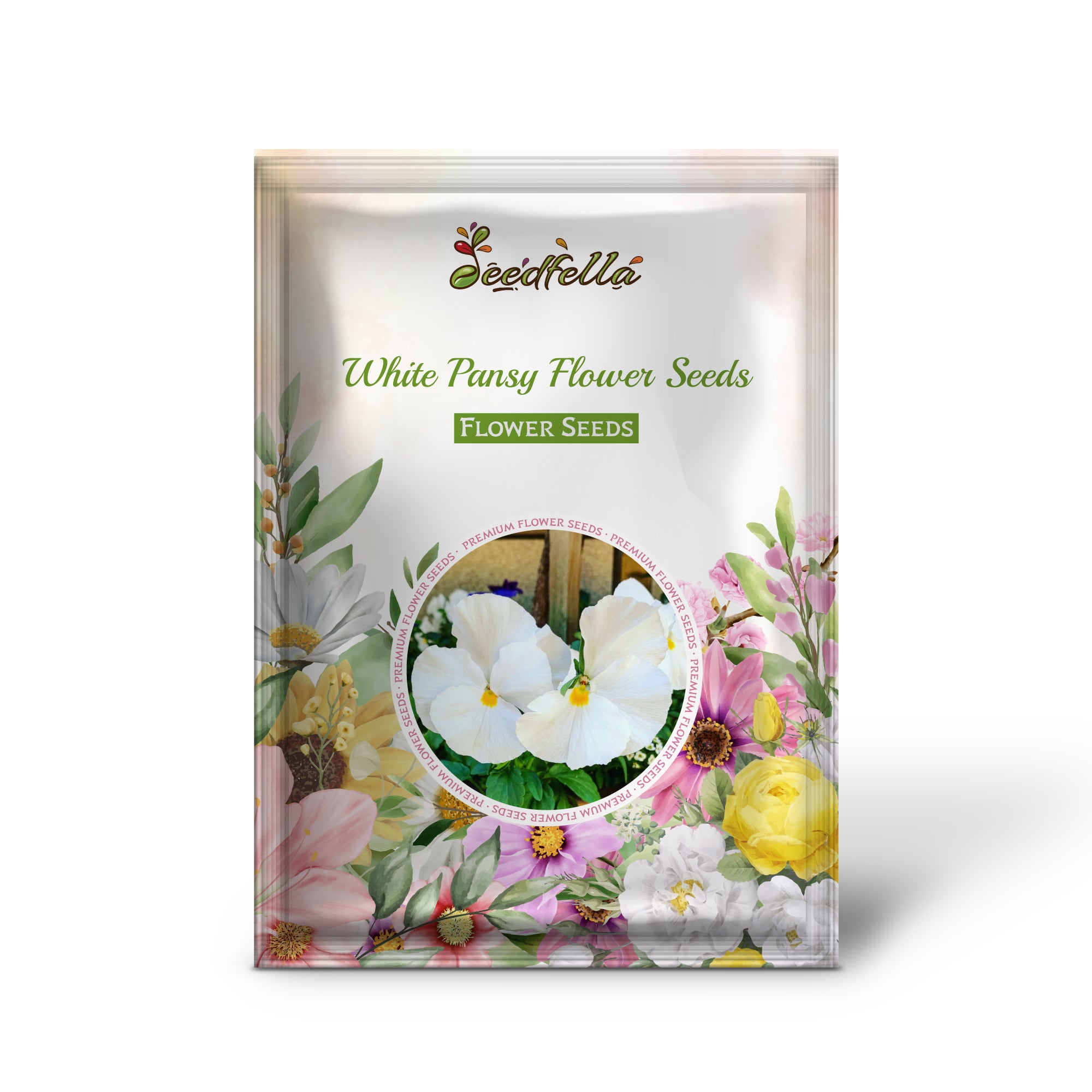 White Pansy flowers blooming in garden