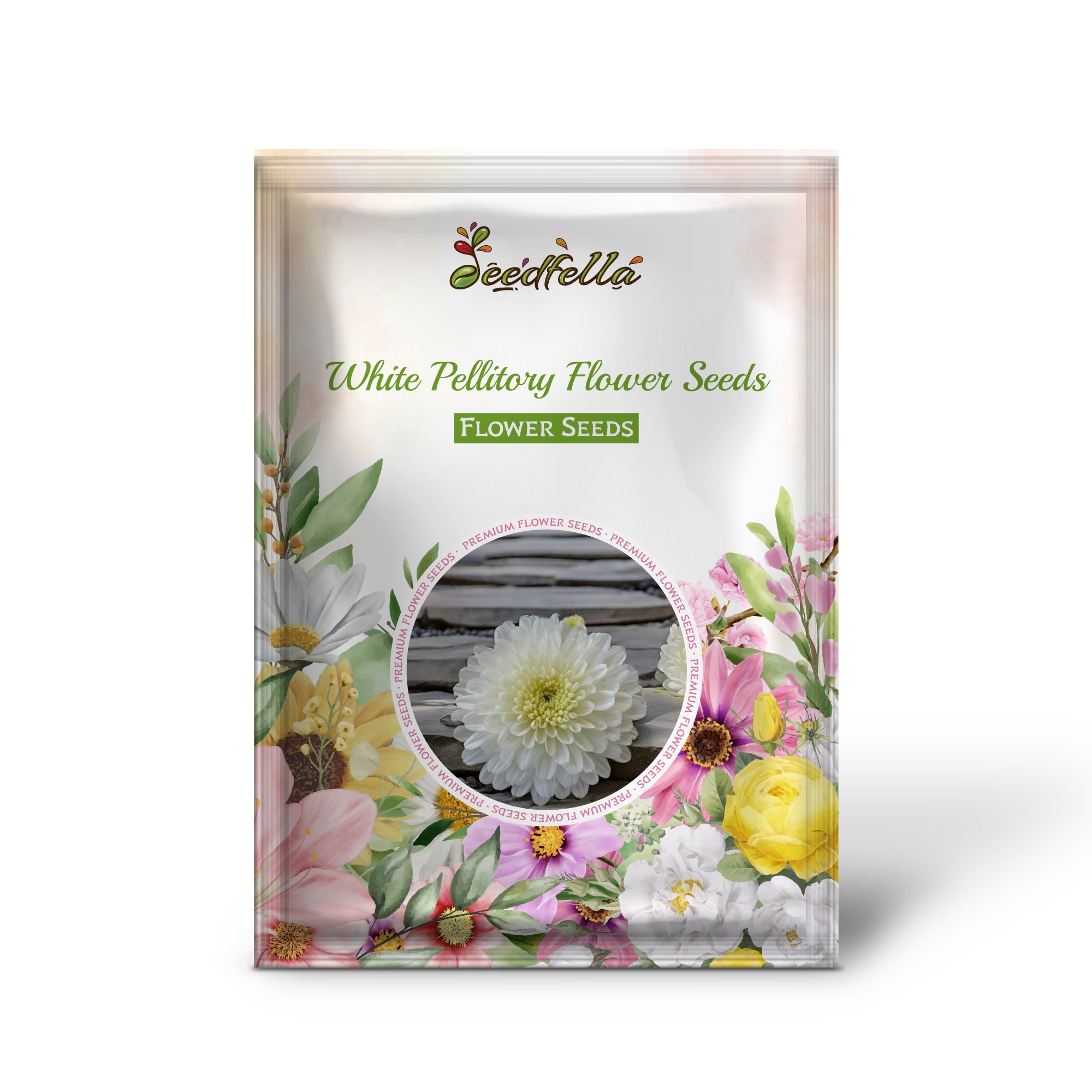 Delicate white Pellitory flowers blooming