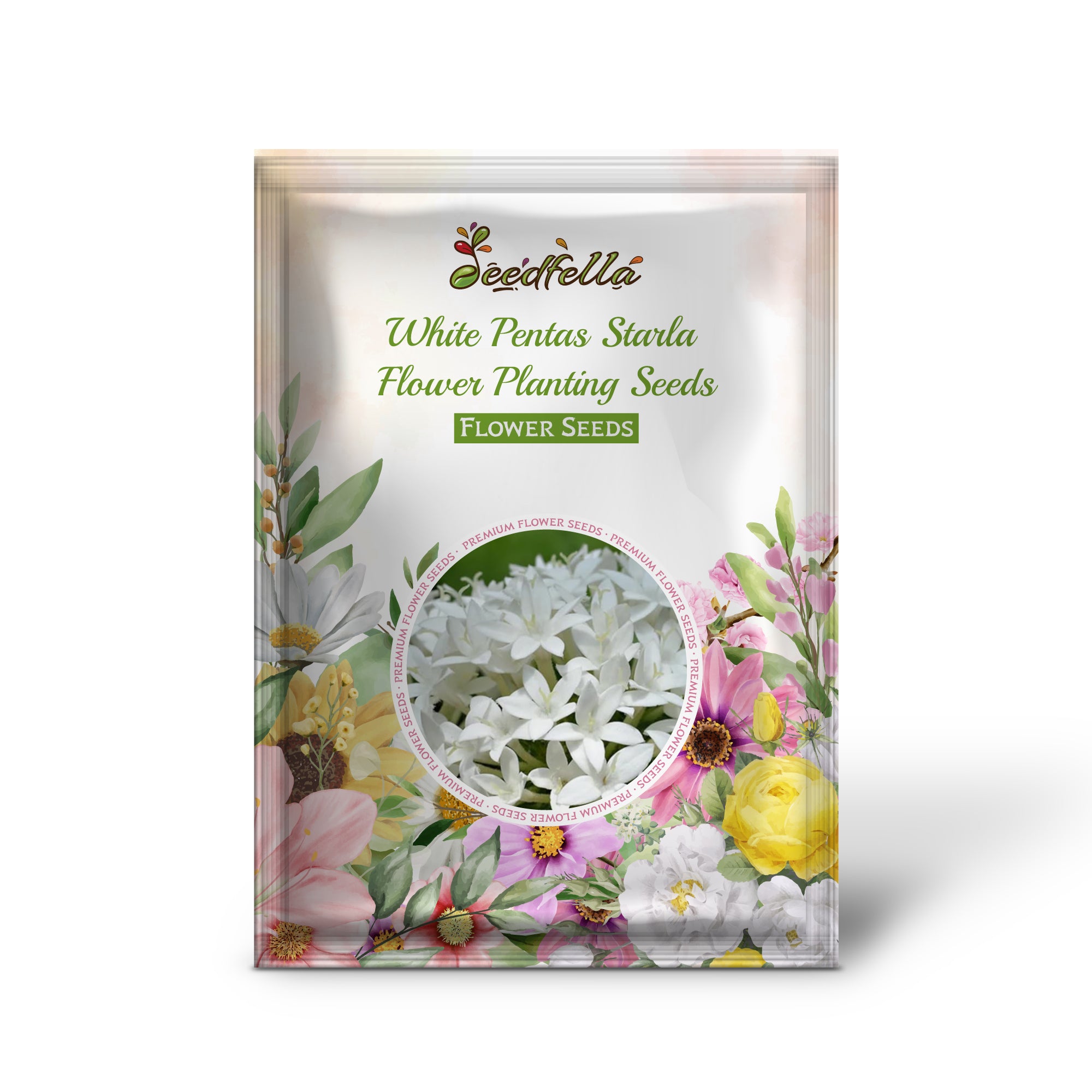 White Pentas Starla flowers blooming in garden