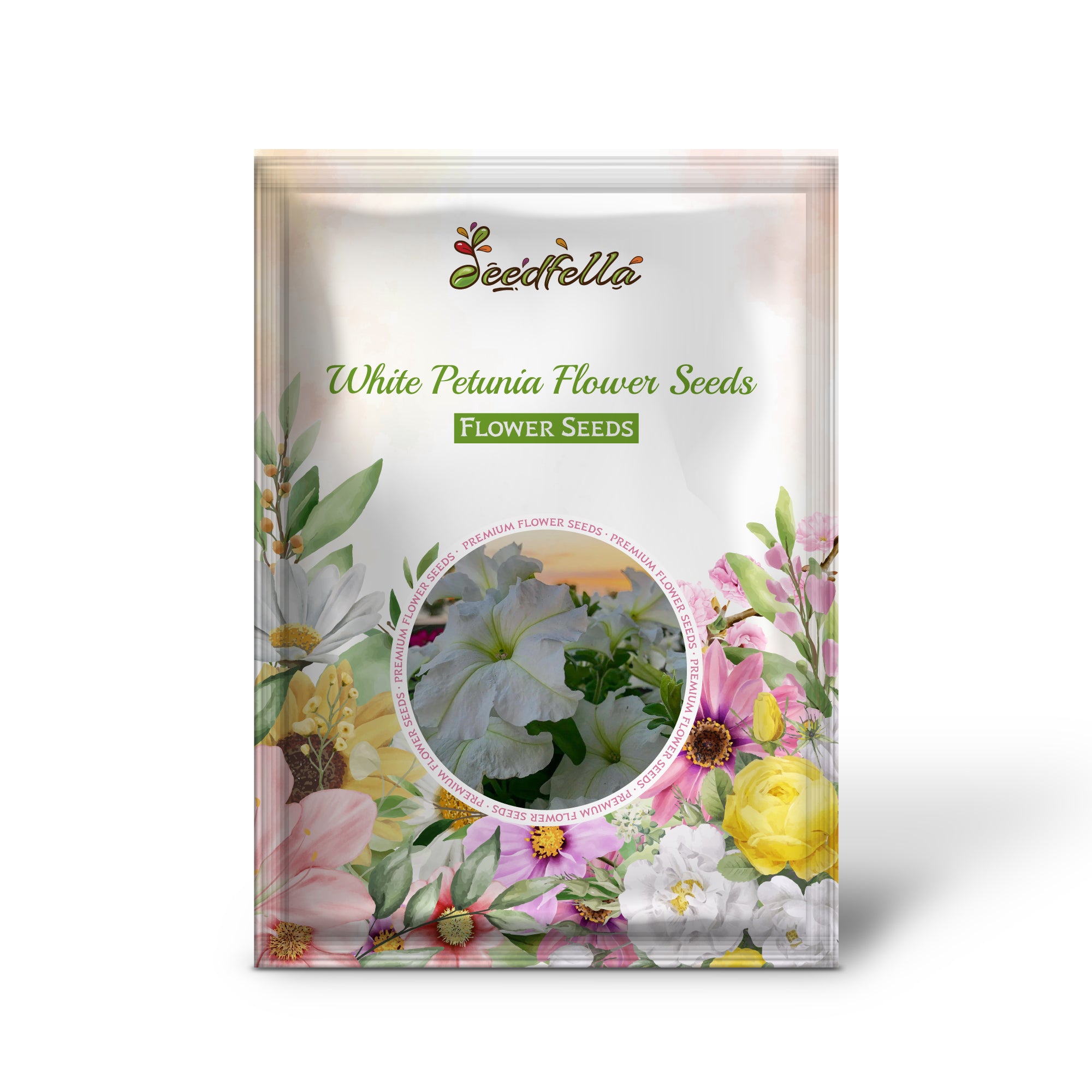 White Petunia flowers blooming in garden