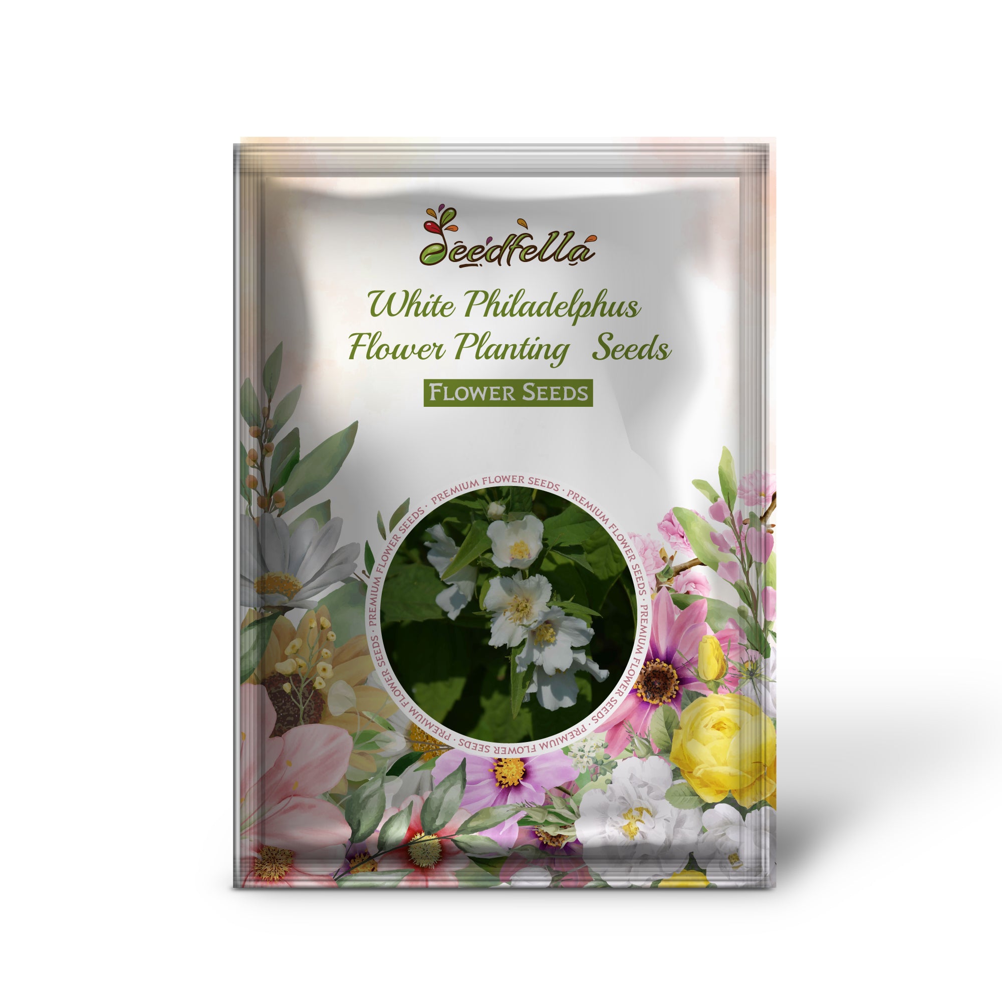 Fragrant white Philadelphus (Mock Orange) flowers