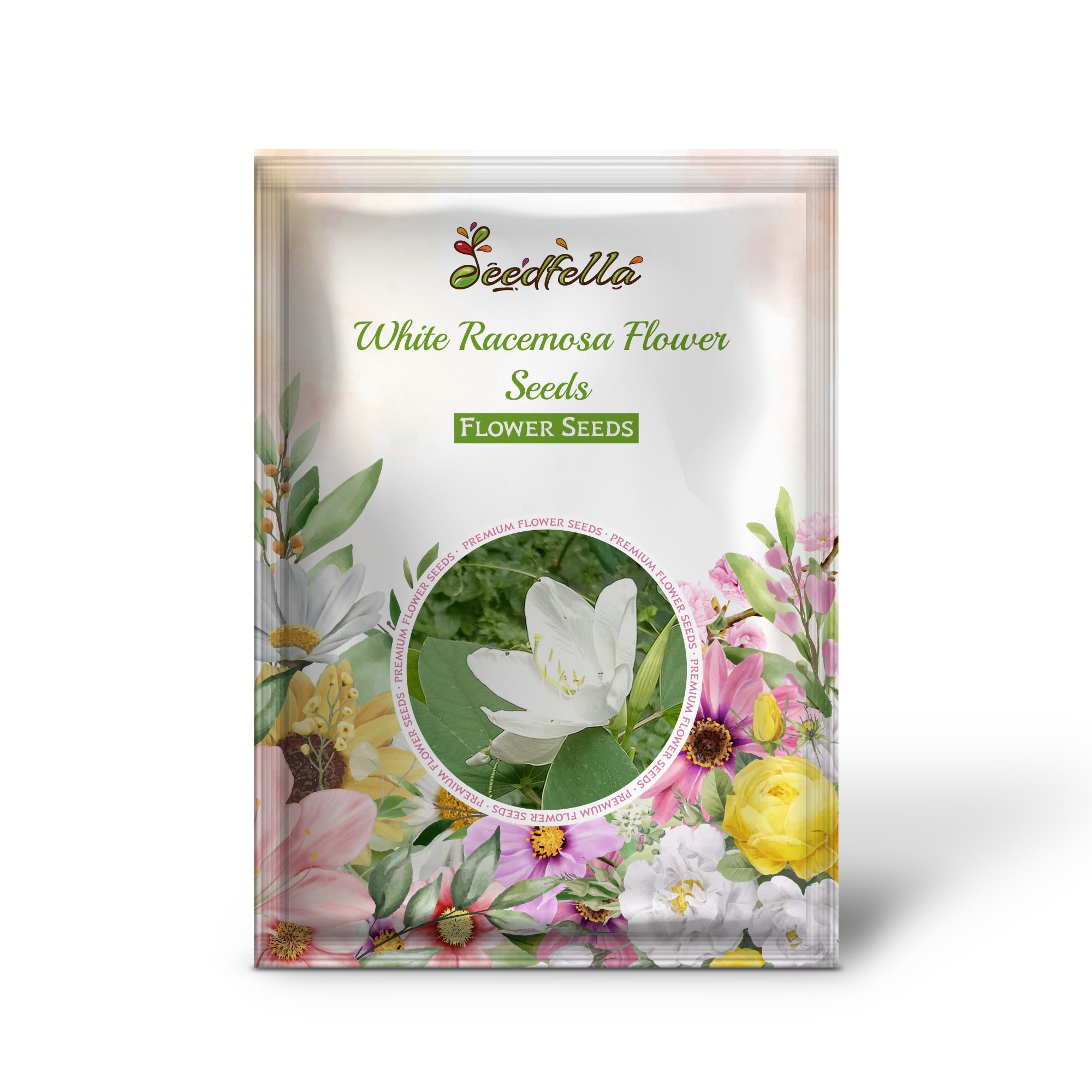 White Racemosa flowers blooming in garden