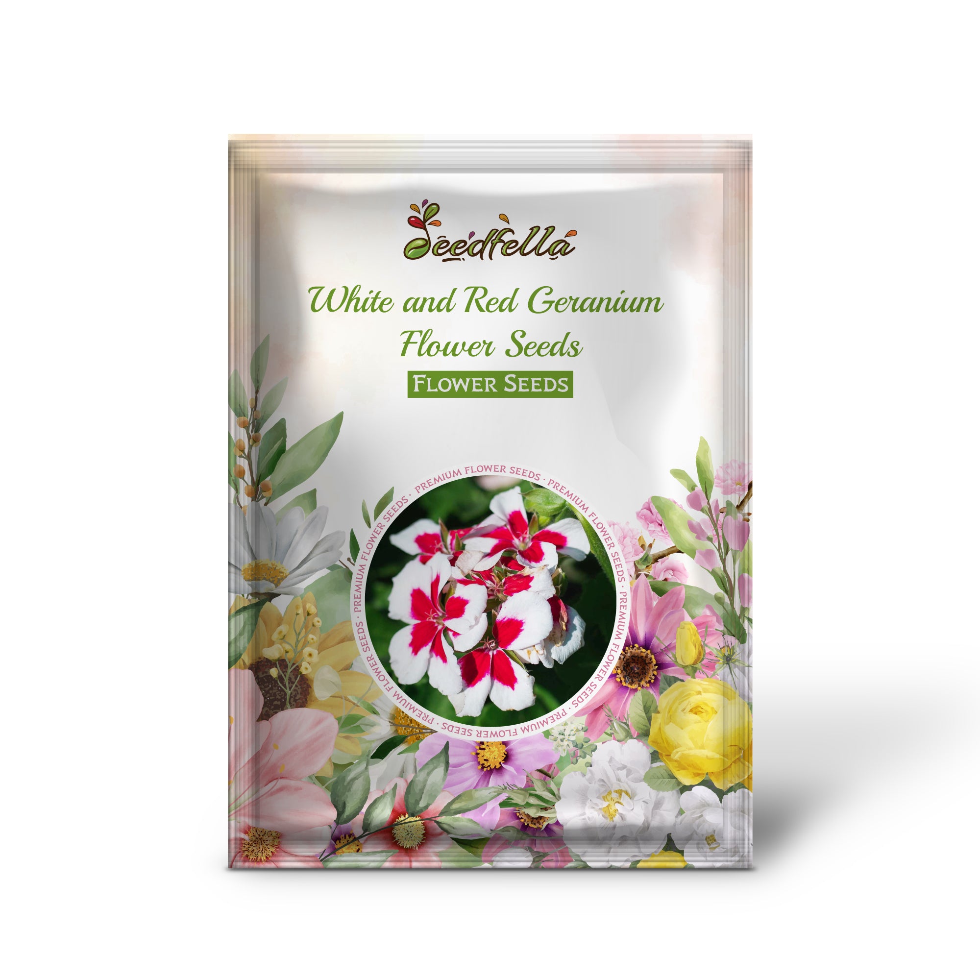 White and Red Geranium flowers blooming in garden