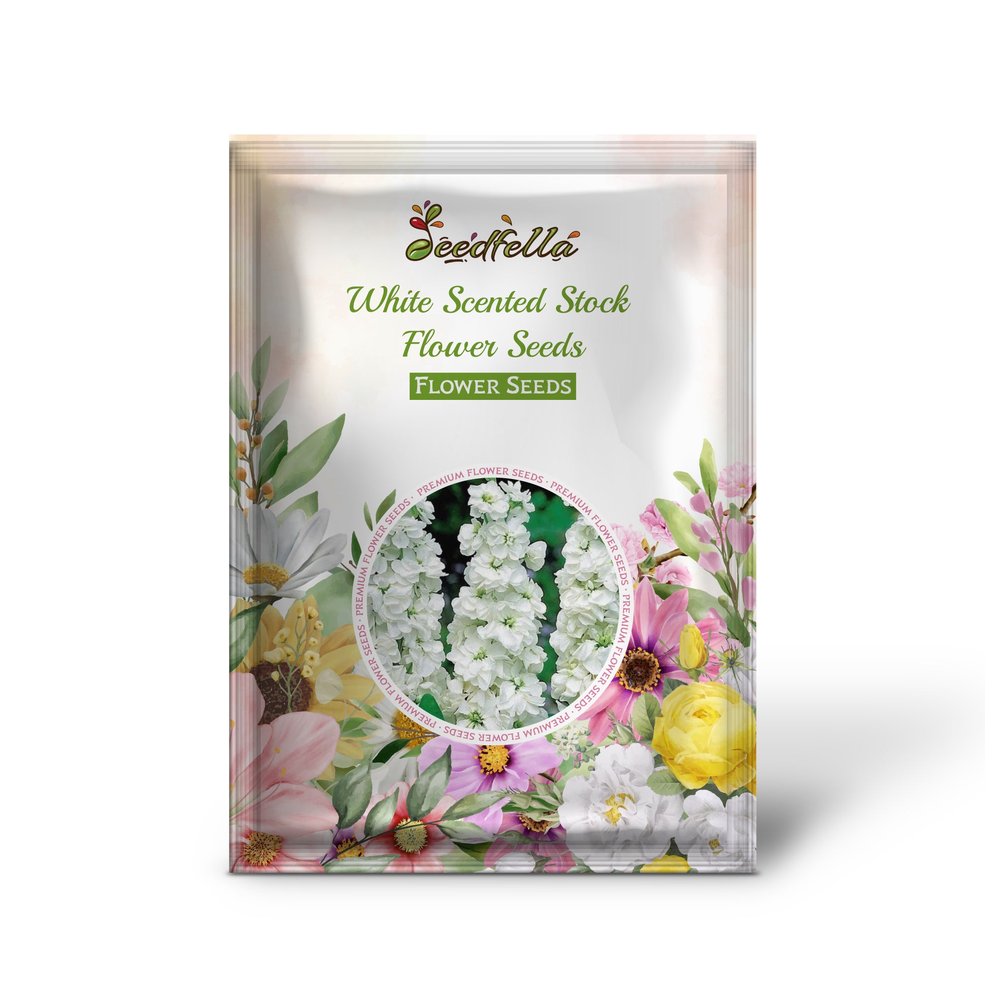 White Scented Stock flowers blooming in garden