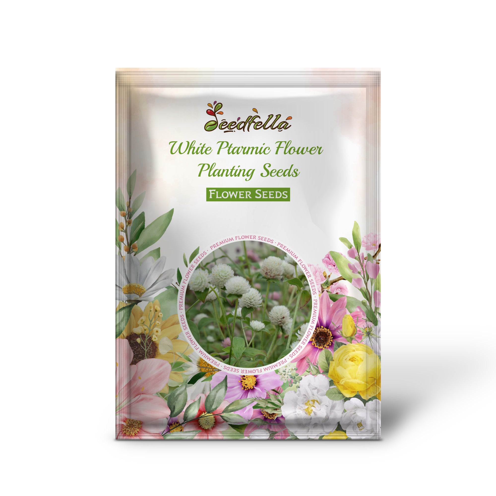 White Sneezewort flowers blooming