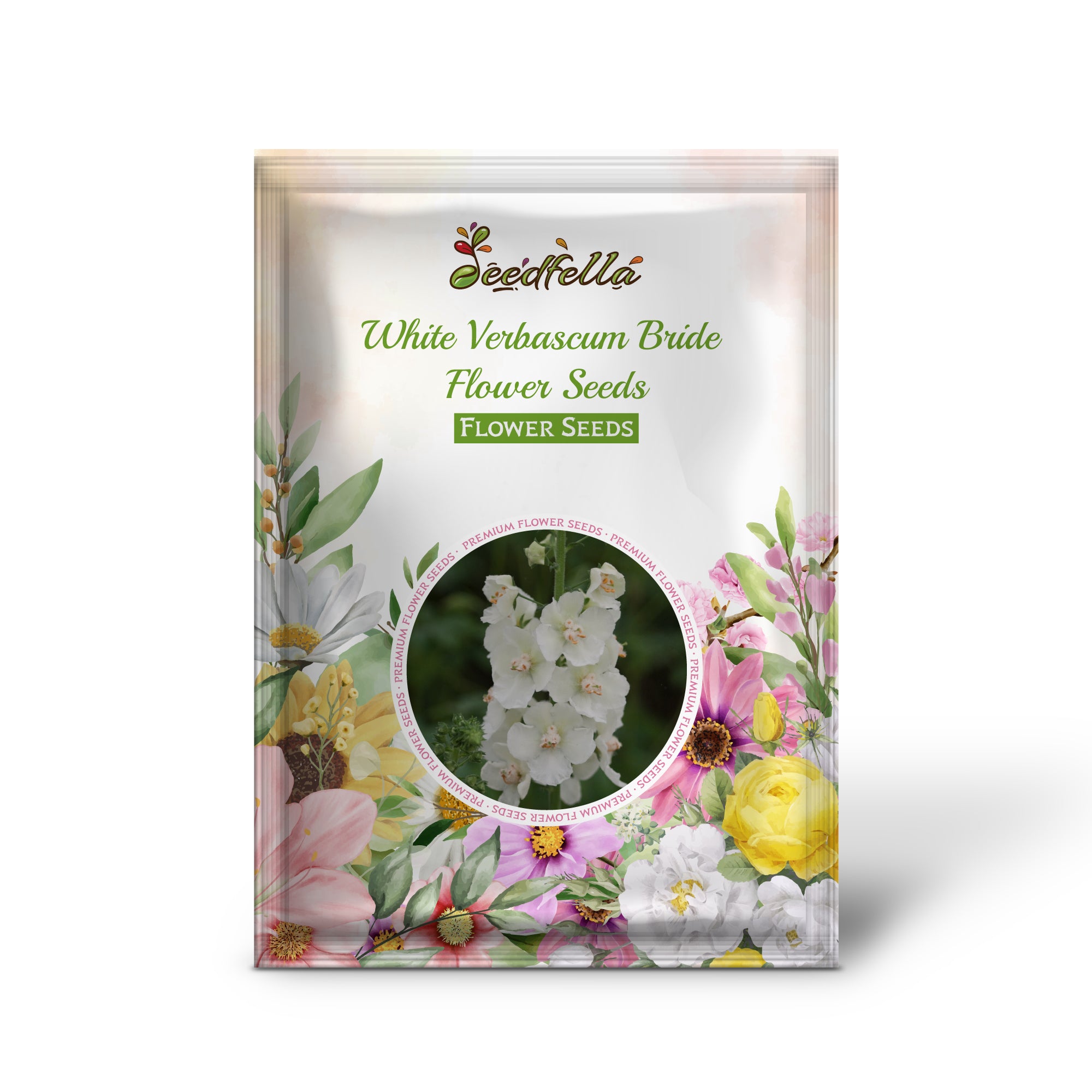 White Verbascum Bride flowers blooming in garden