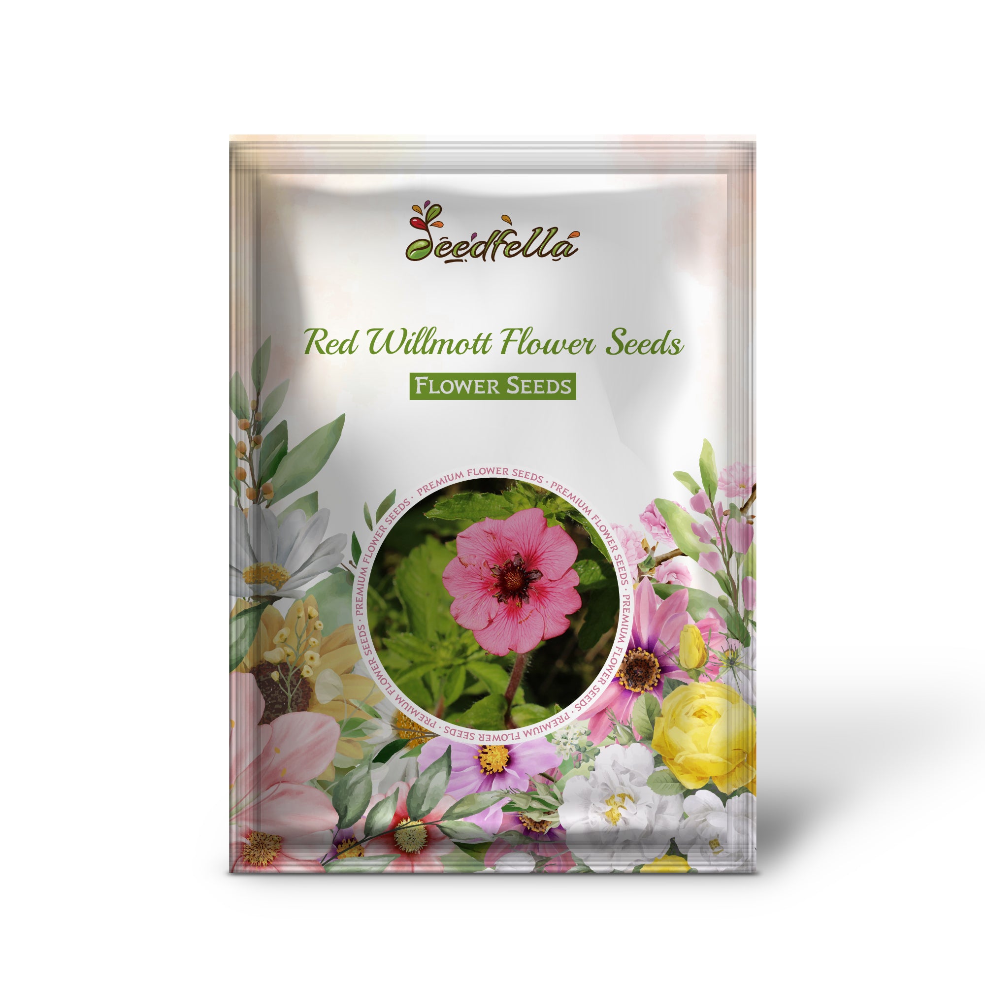 willmott-seeds-for-planting
