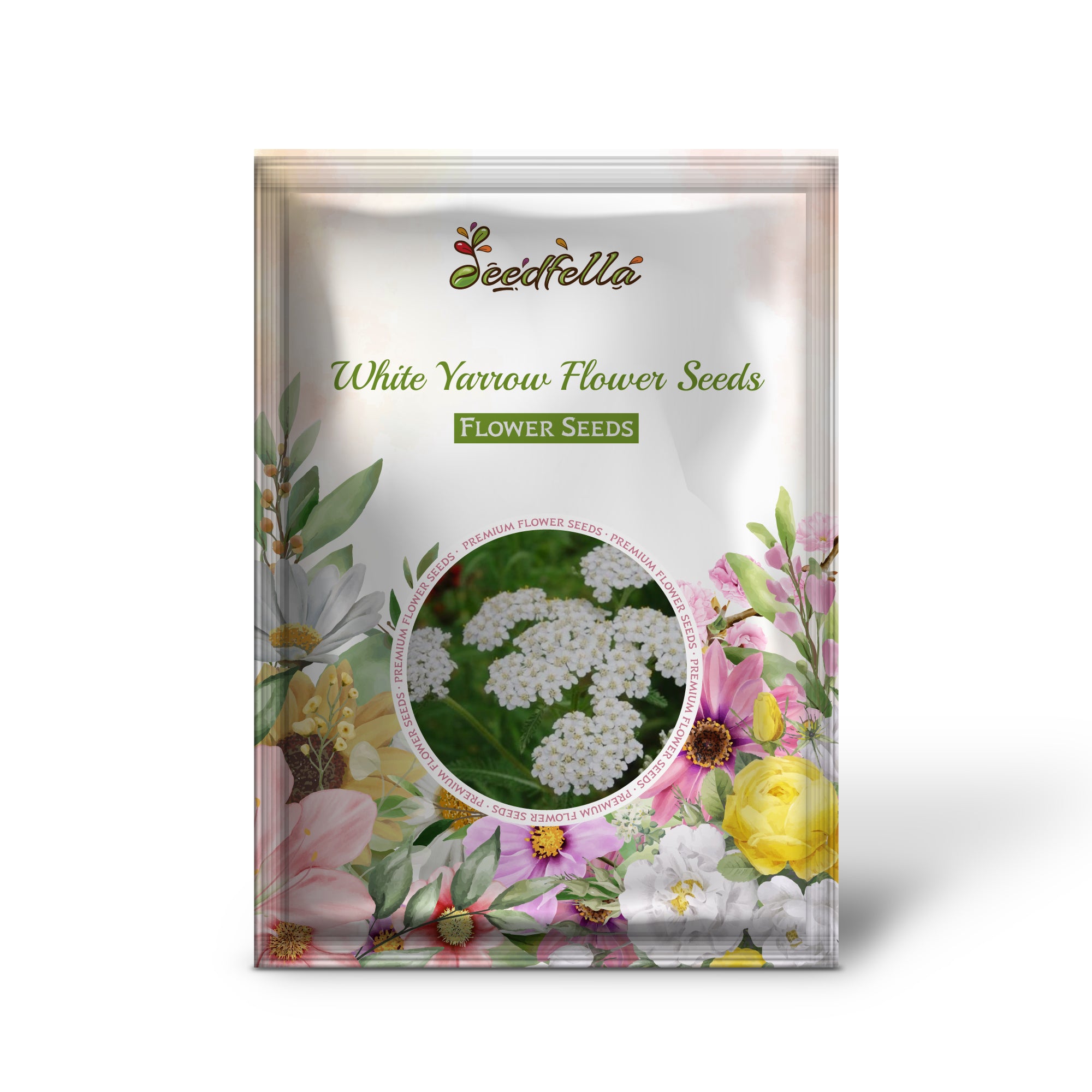 White yarrow garden seeds for outdoor planting