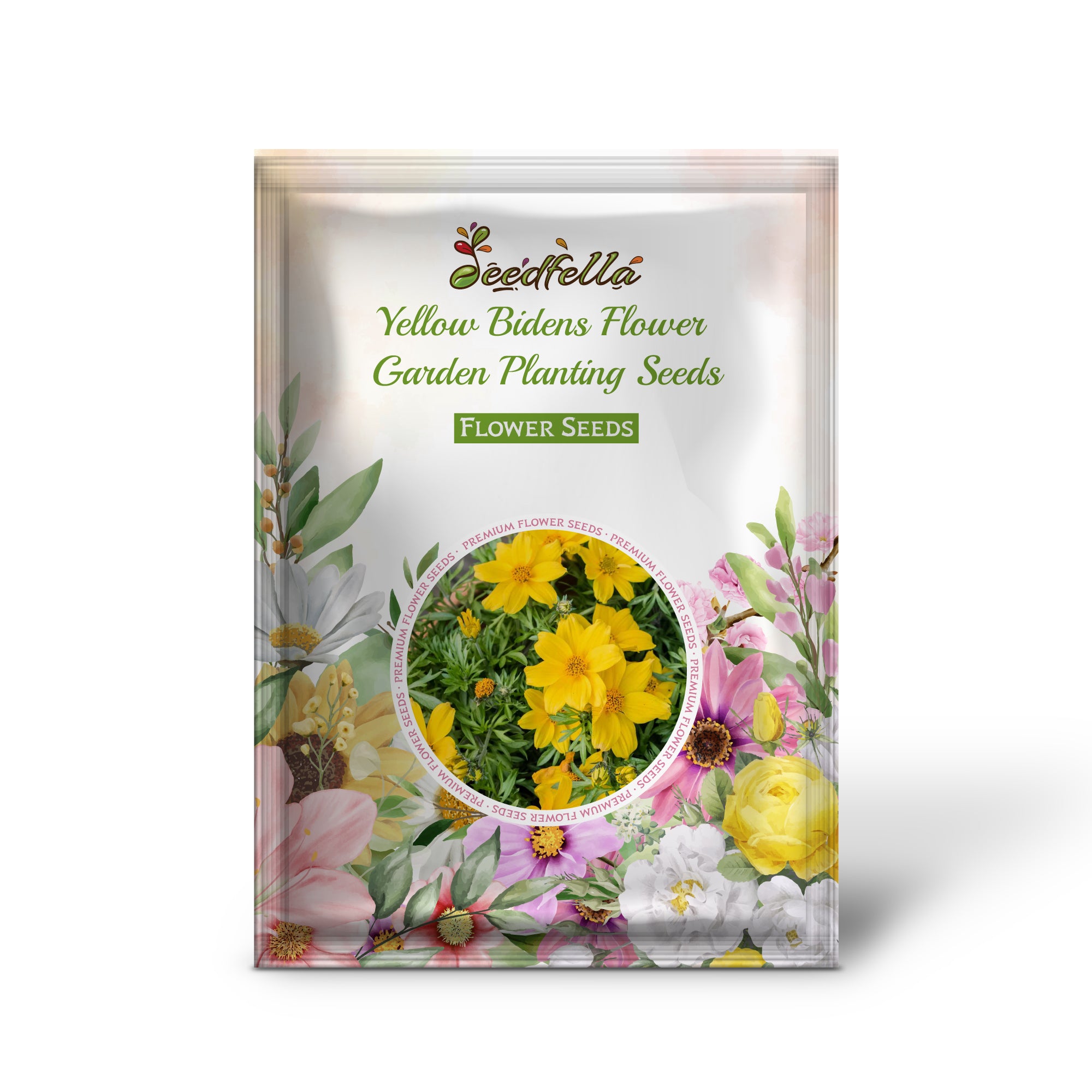 Yellow Bidens flowers blooming in garden