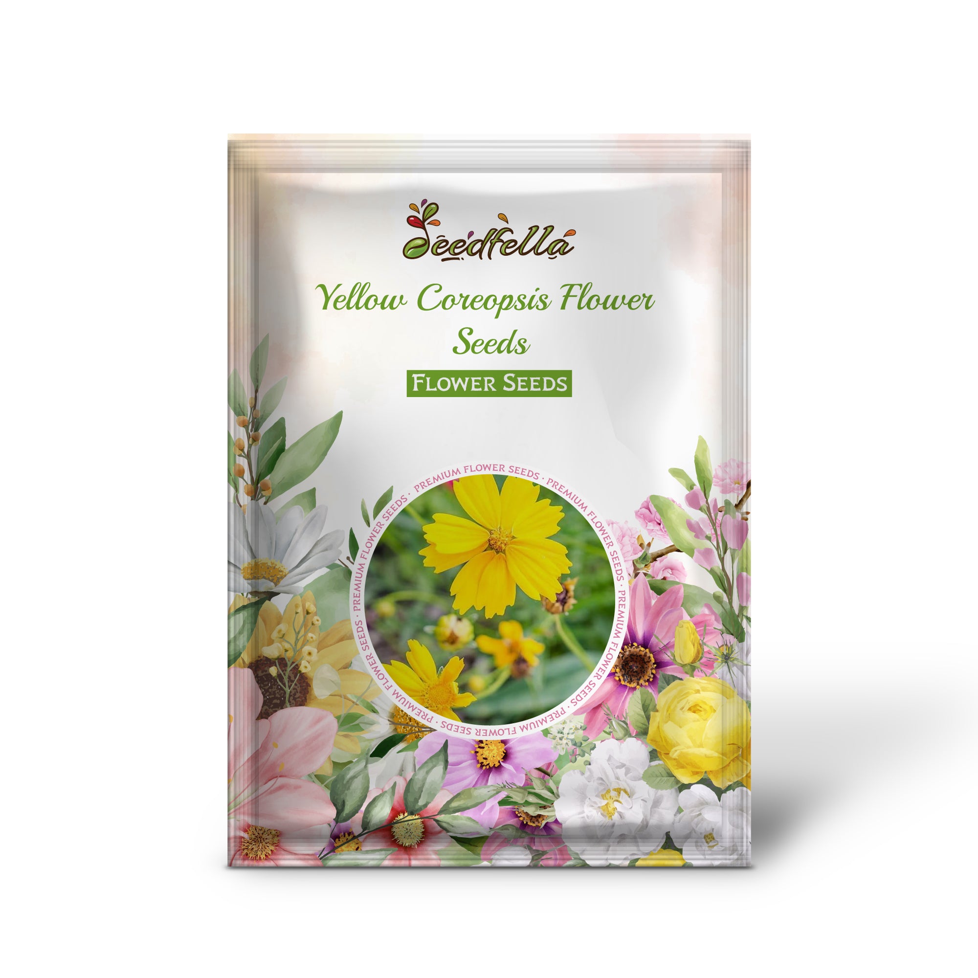 Yellow Coreopsis flowers blooming in garden