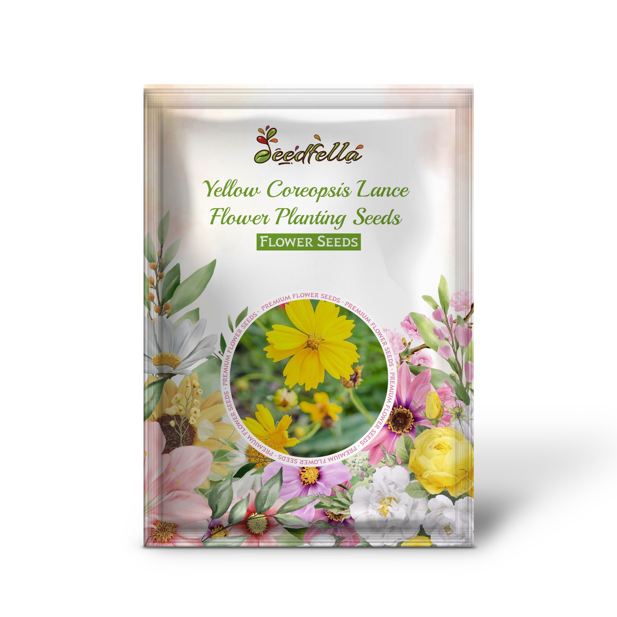 Yellow Coreopsis Lance flowers blooming in garden