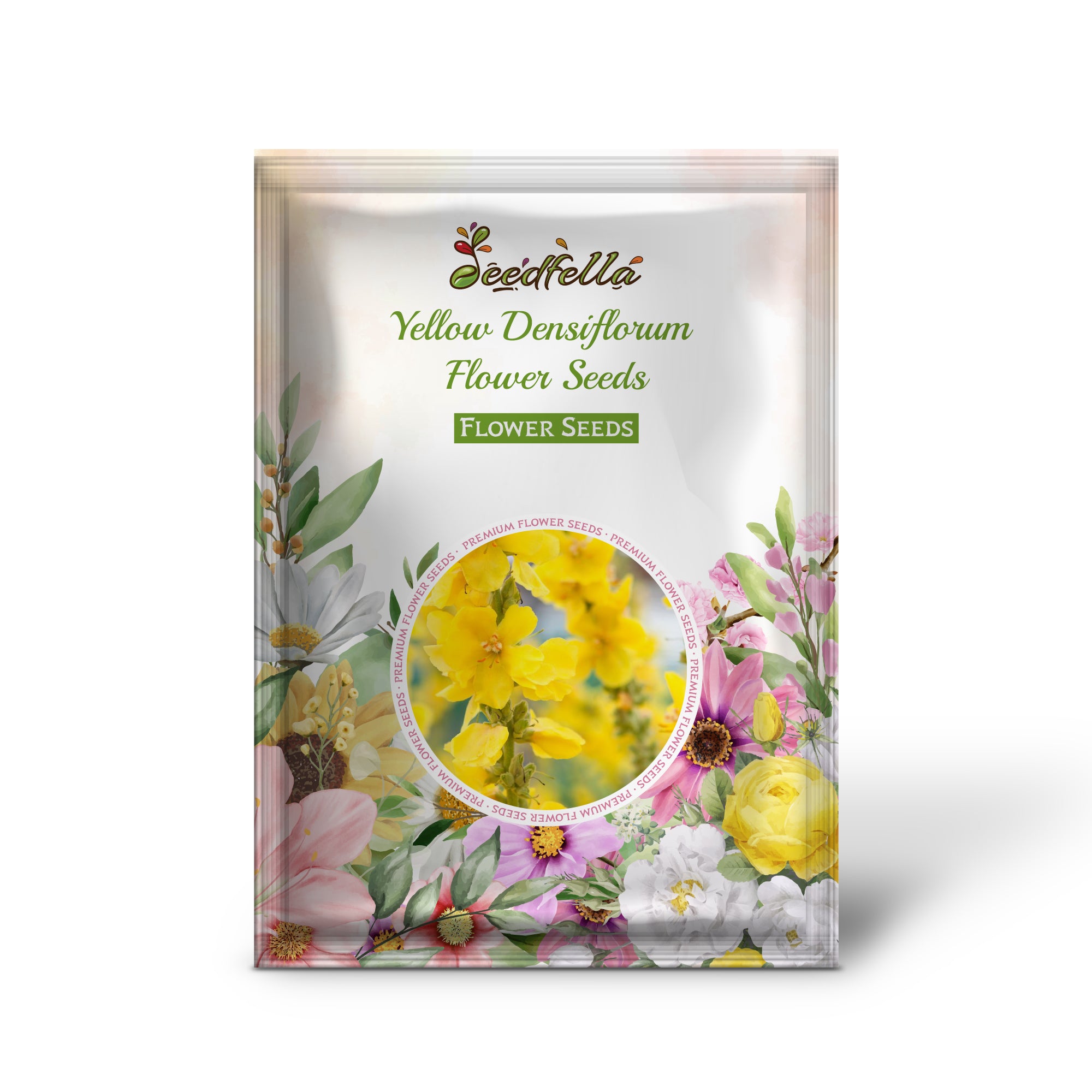 Yellow Densiflorum flowers blooming in garden