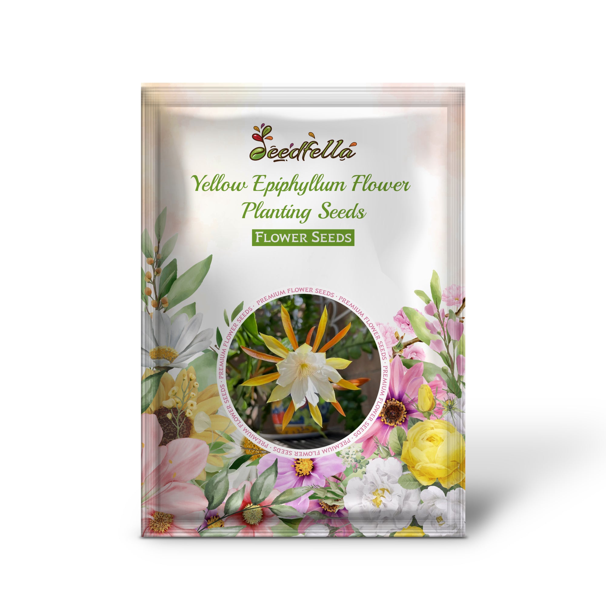 Bright yellow Epiphyllum (Orchid Cactus) flowers in bloom