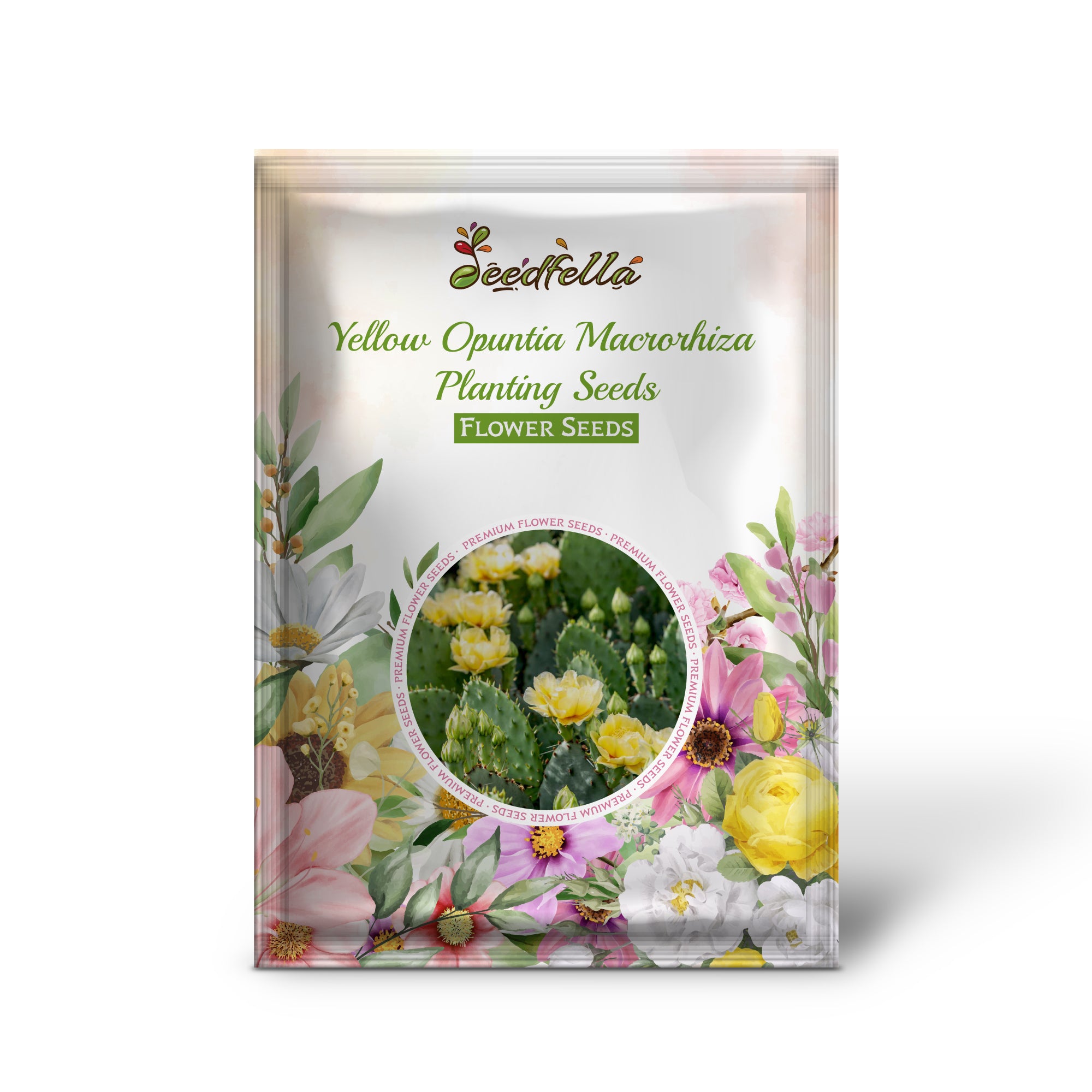 Yellow Opuntia Prickly Pear cactus in garden