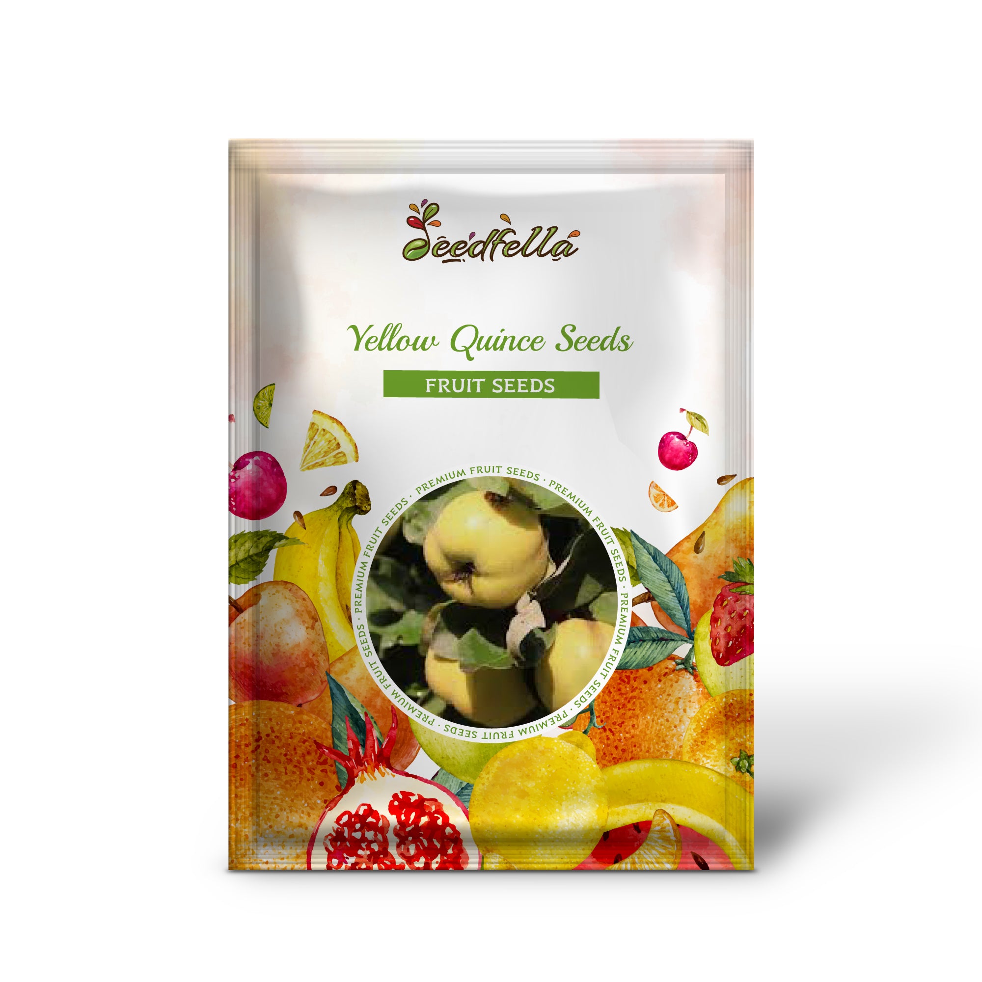 Plant Yellow Quince Seeds to grow delicious quince fruits.