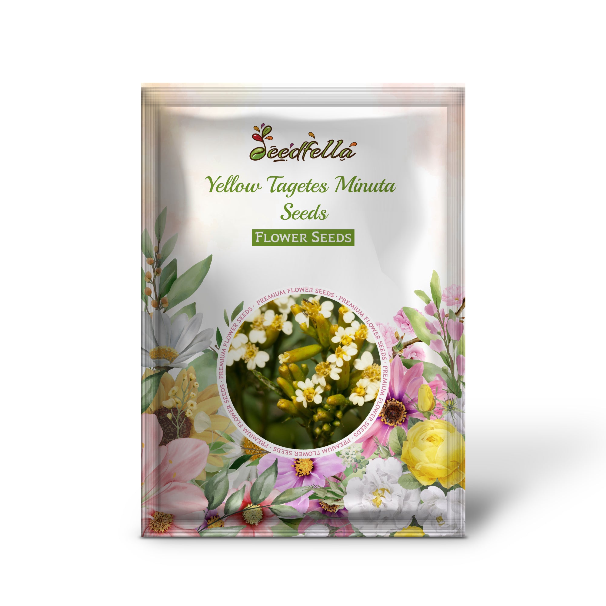 Yellow Tagetes Minuta flowers blooming in garden