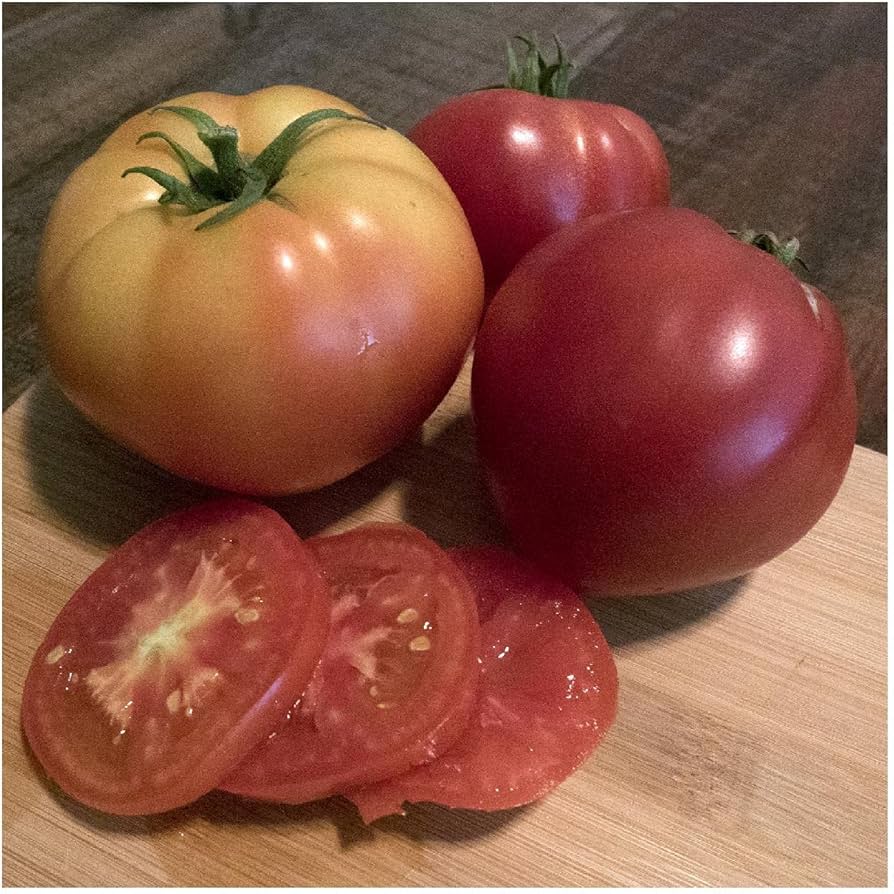 Abe Lincoln Heirloom Tomato seeds for home gardens