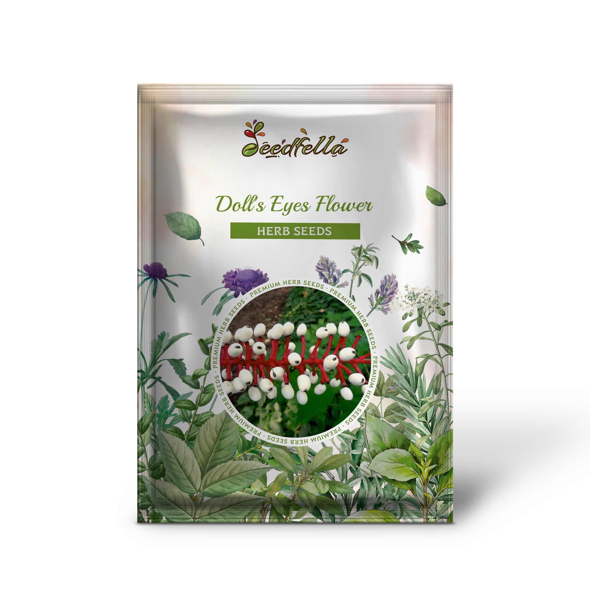 Close-up of Doll’s Eyes white flowers