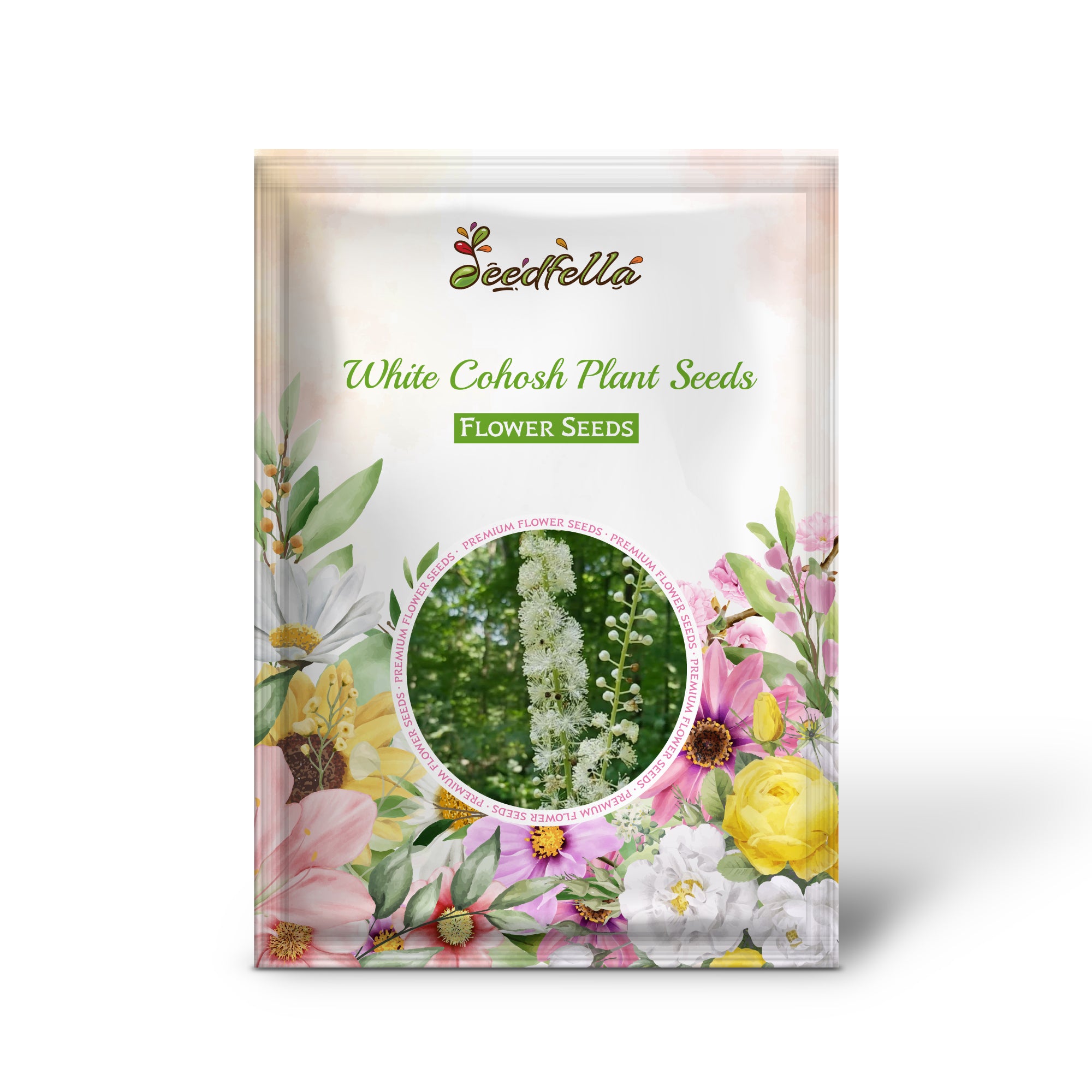 White Cohosh (Actaea pachypoda) flowers in bloom