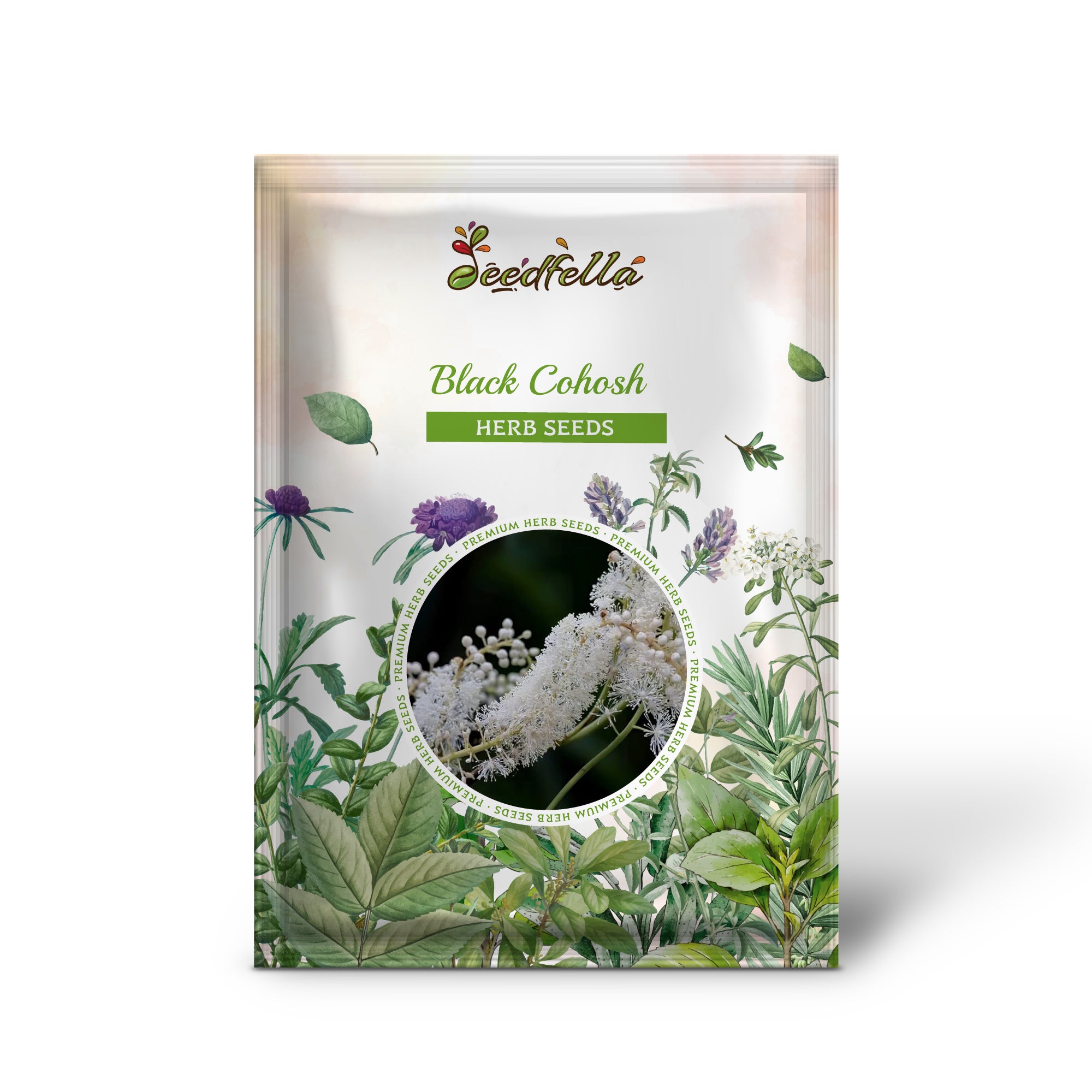 Actaea racemosa seeds producing tall white flowers