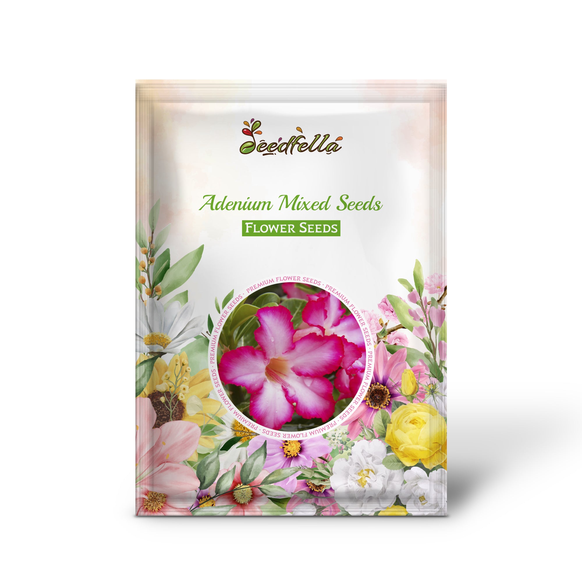 Adenium Desert Rose growing in pots