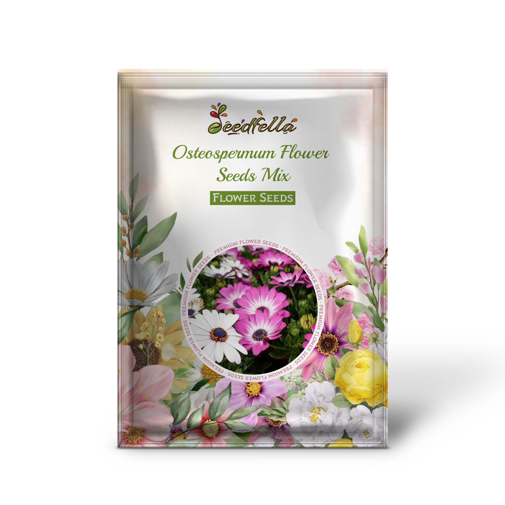 African Daisy Seeds Mix with Vibrant Flower Colors