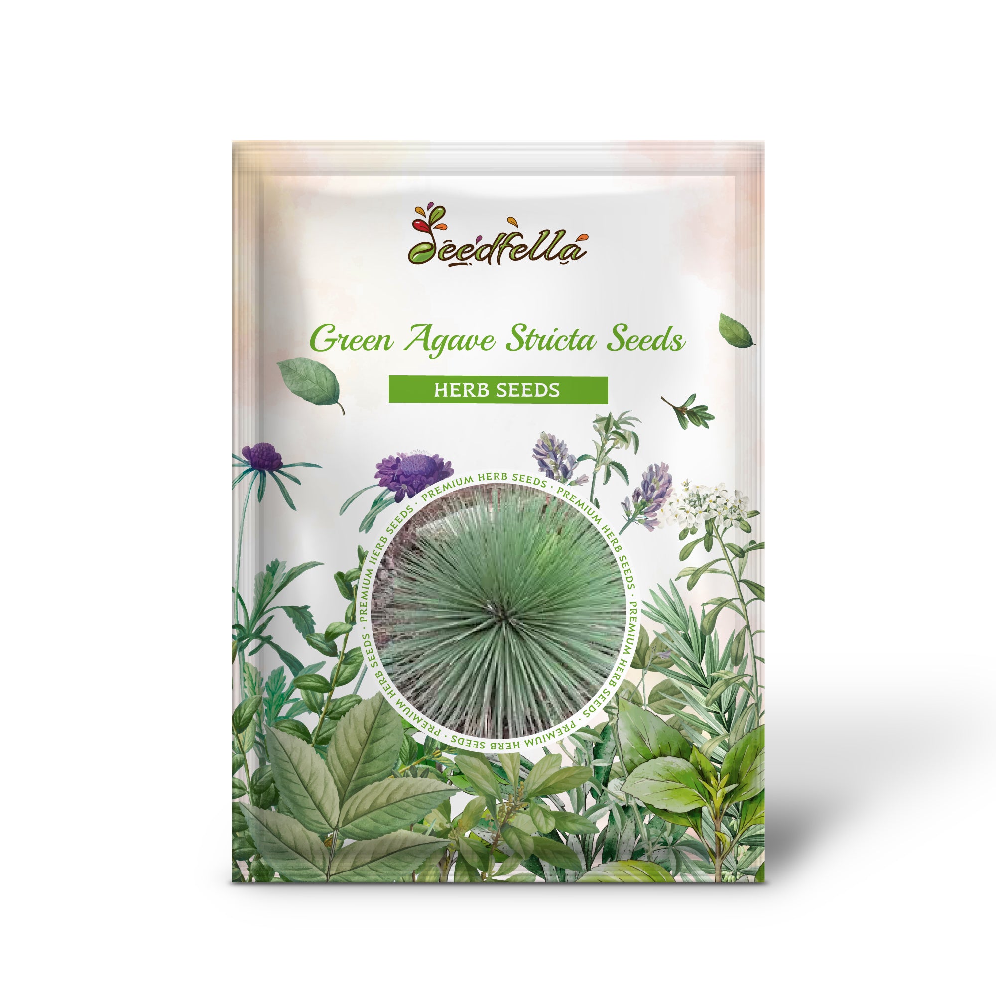 Agave Stricta Seeds – Drought-Tolerant Succulent for Landscaping