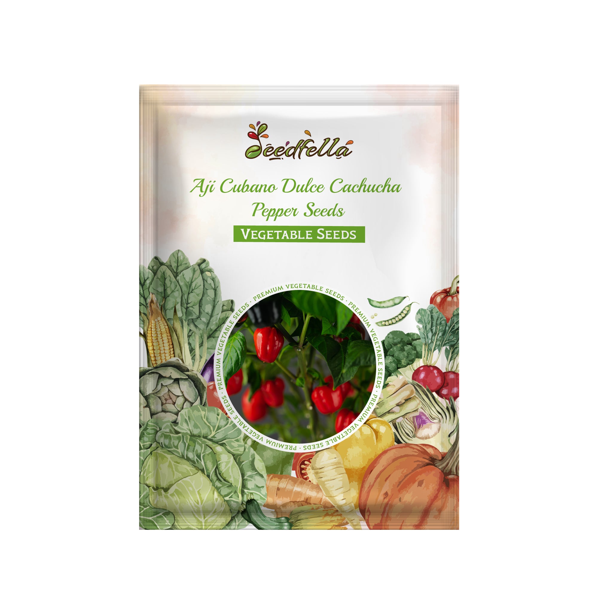 Aji Cubano Dulce ornamental pepper pods on plant