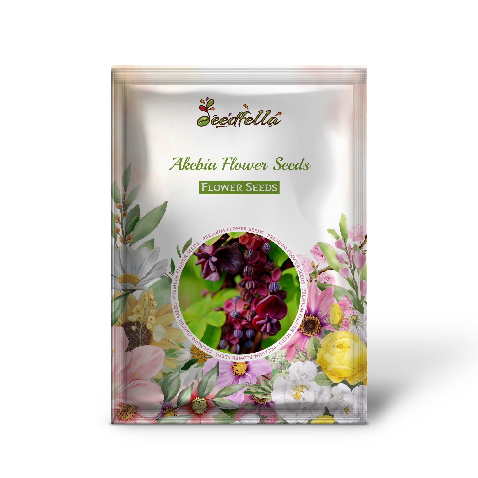 Akebia Seeds For Planting