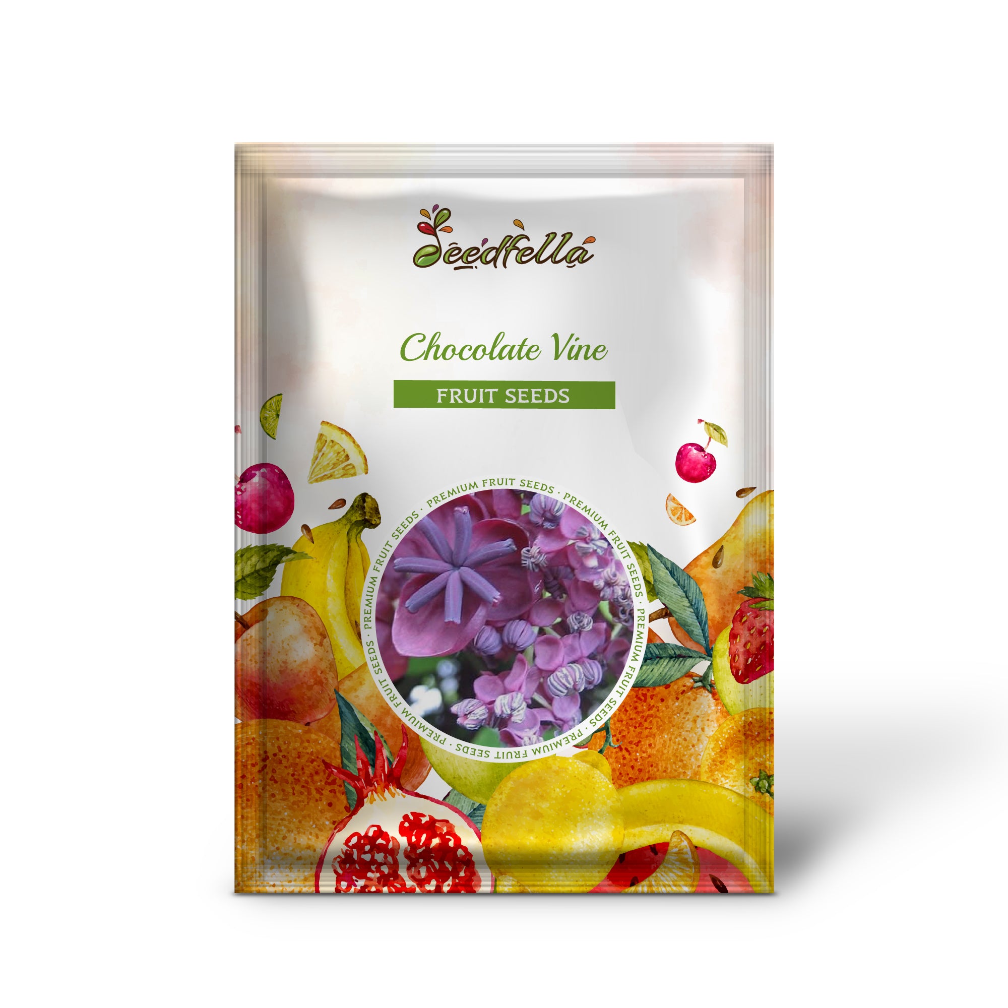 Akebia trifoliata seedlings growing in pots