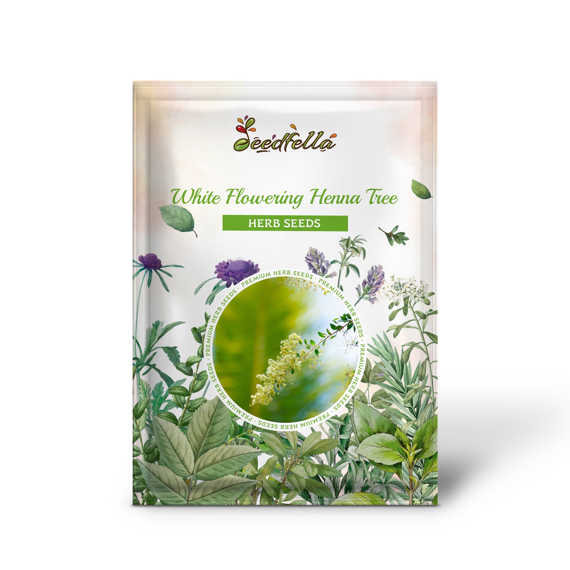 Fragrant white flowering Henna Tree grown from non-GMO seeds