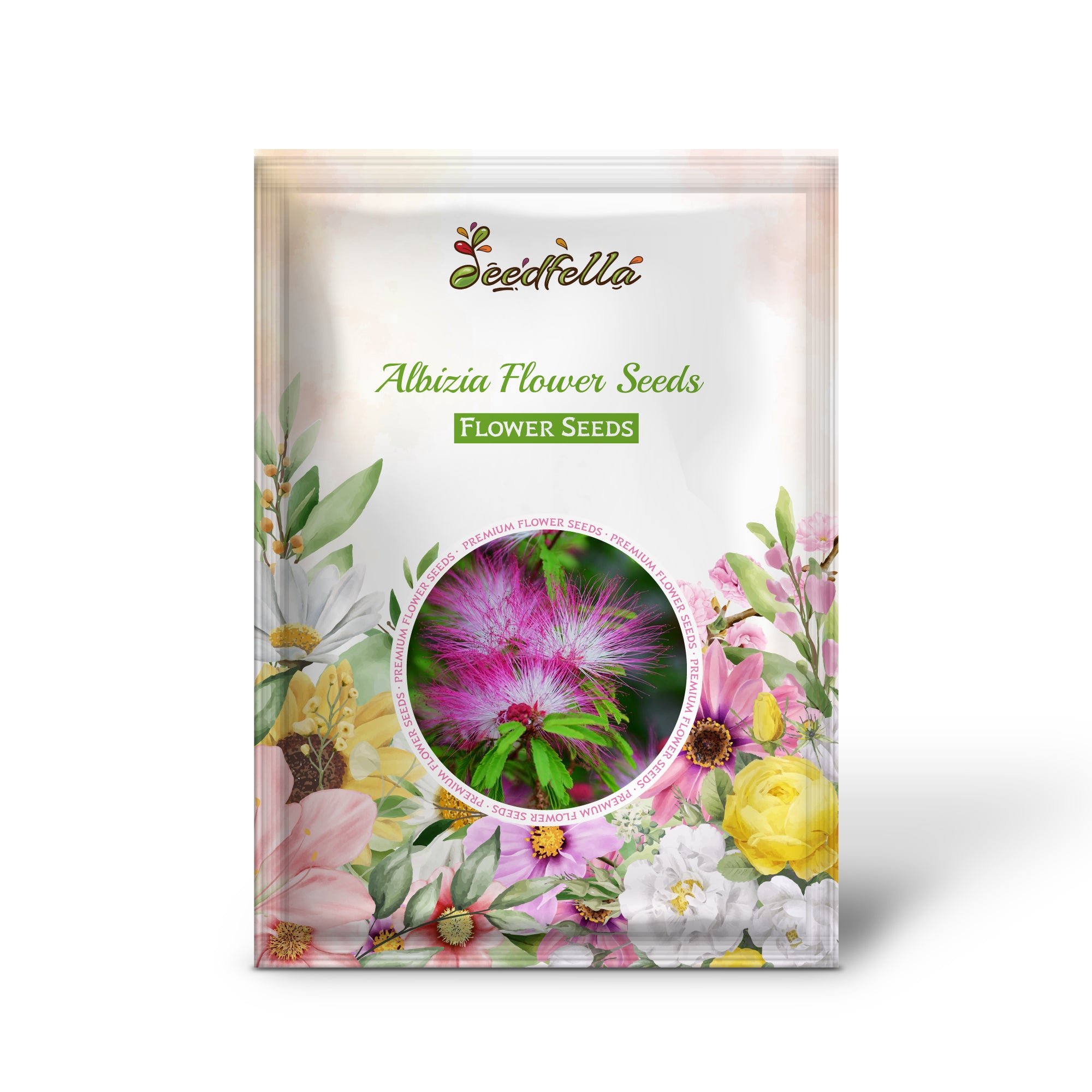 Cream Albizia Flowers in Full Bloom