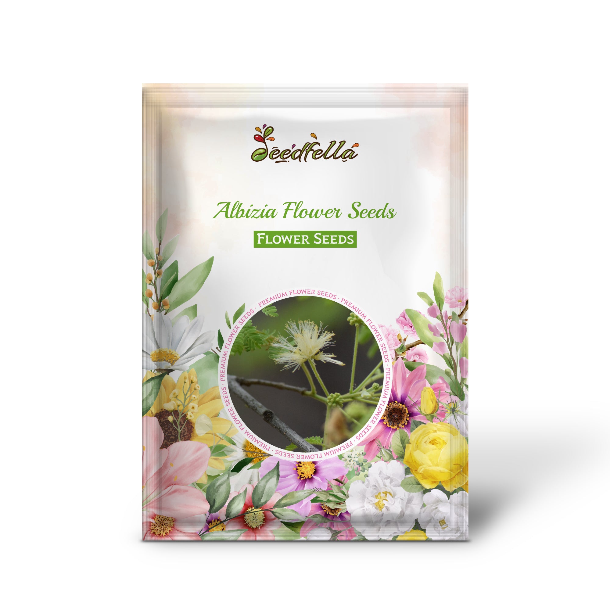 Albizia Green Variety Tree with Feathery Foliage