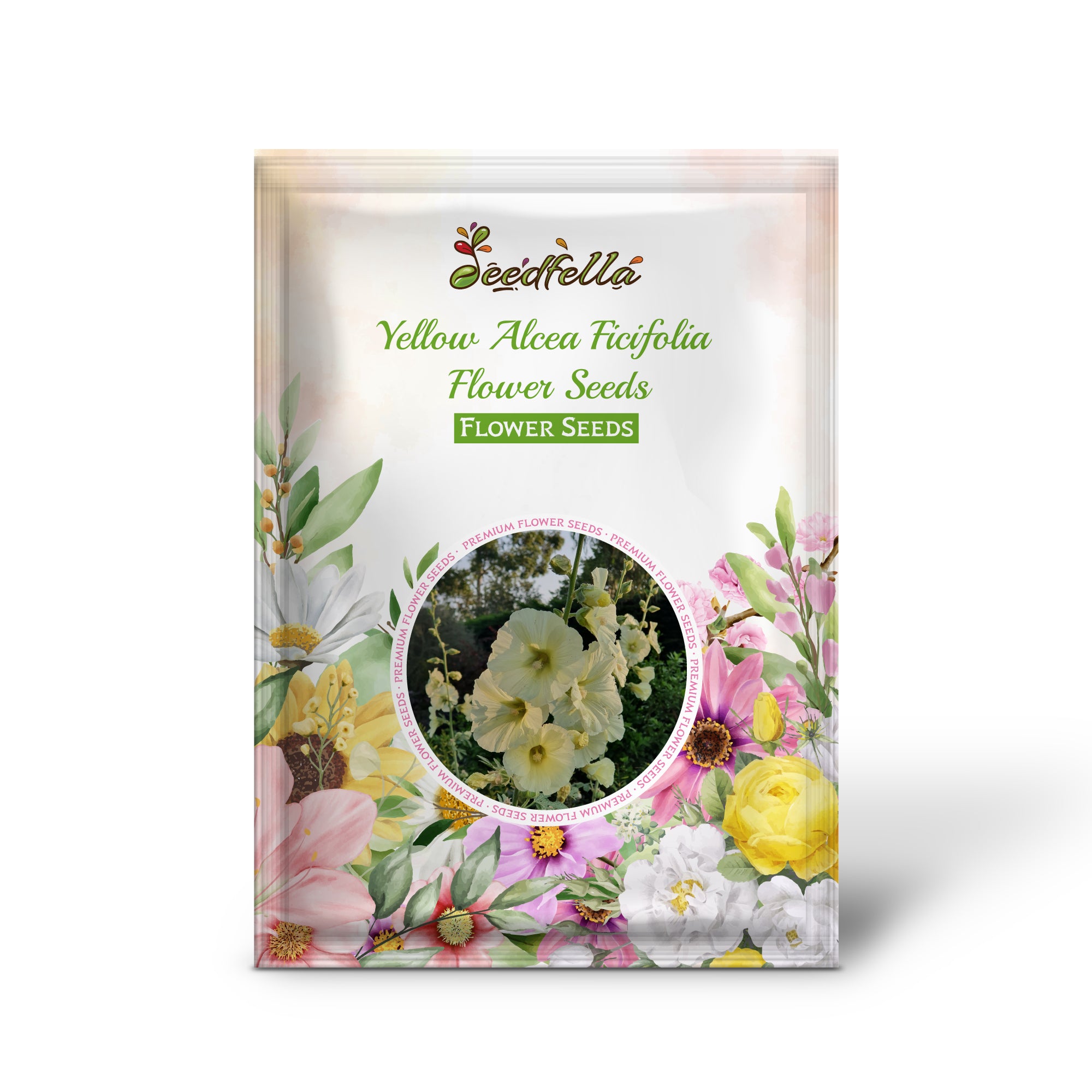 Yellow Alcea Ficifolia flowers in full bloom