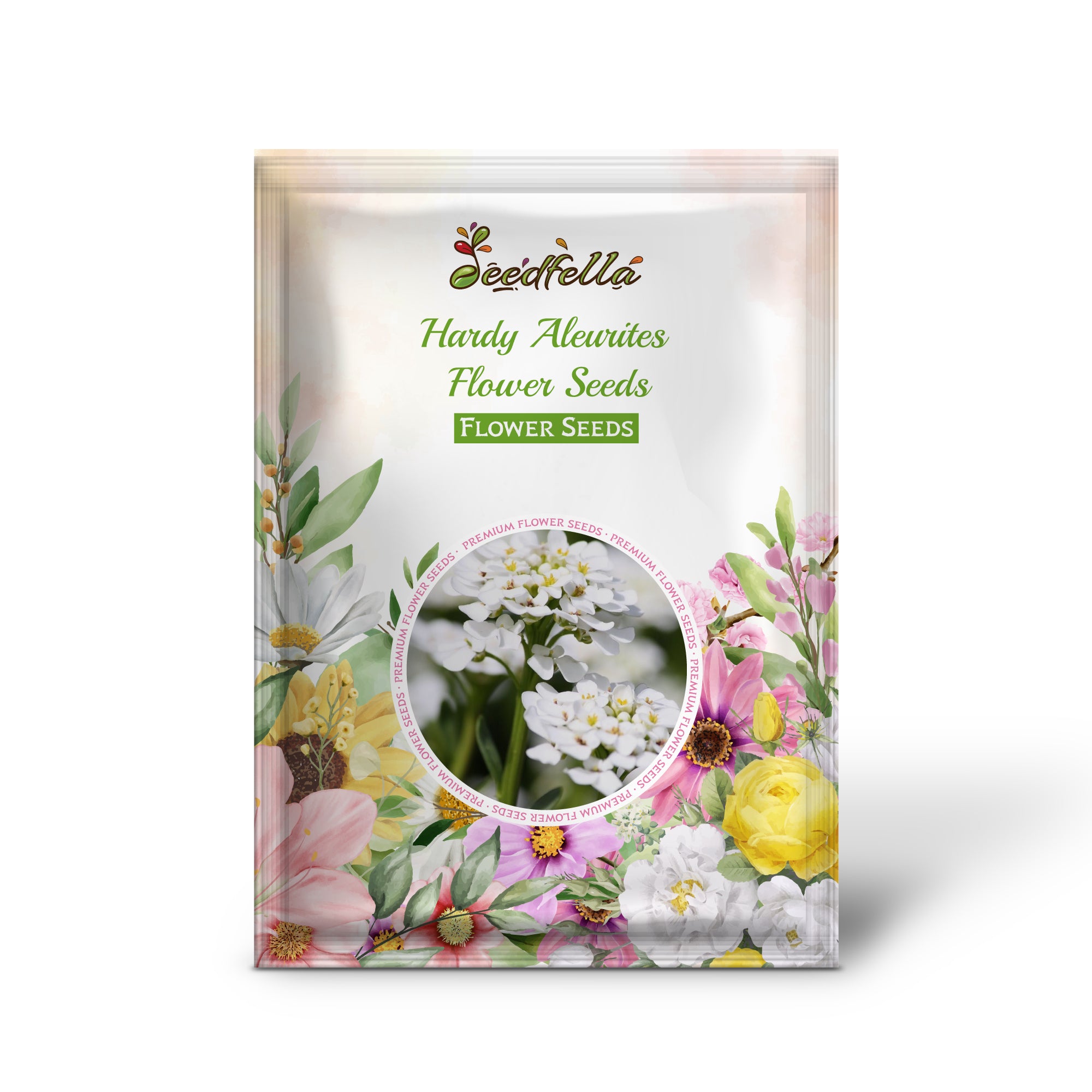 White Aleurites flowers in full bloom