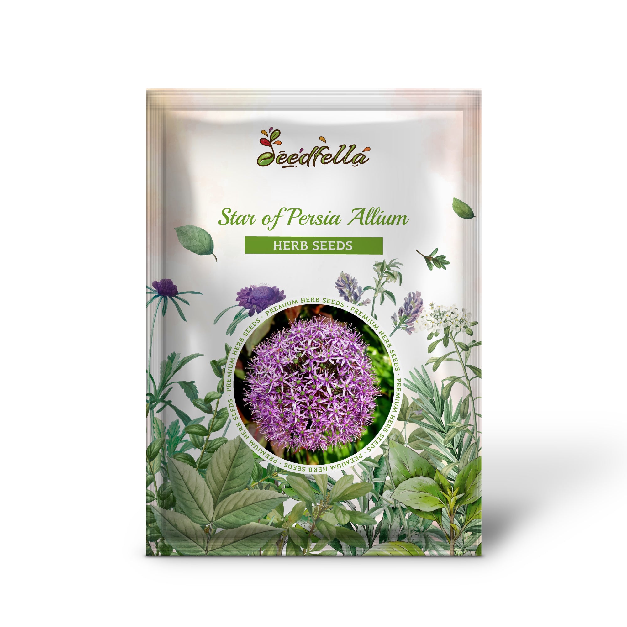 Star Of Persia Allium Seeds Allium Christophii Amethyst Purple Flowers star-of-persia-allium-seeds-allium-christophii-amethyst-purple-flowers