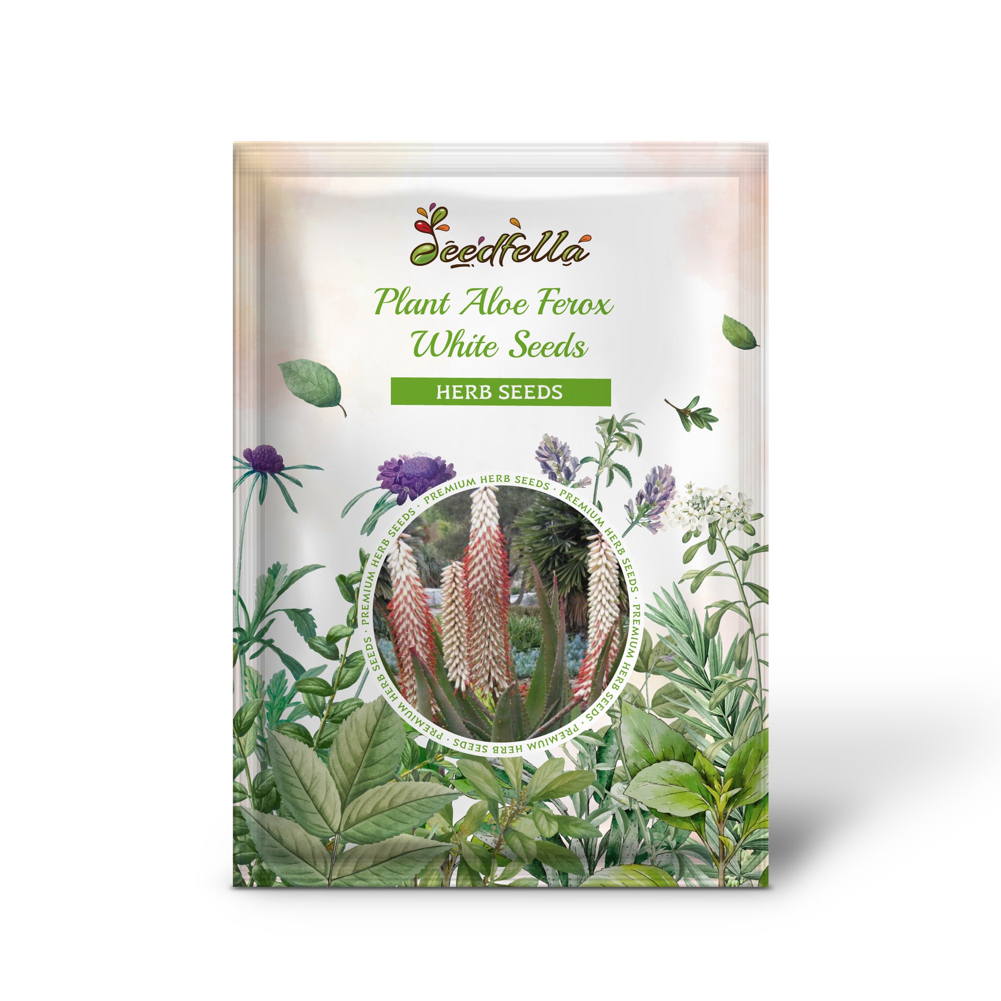 Premium Non-GMO Aloe Ferox White Seeds Pack
