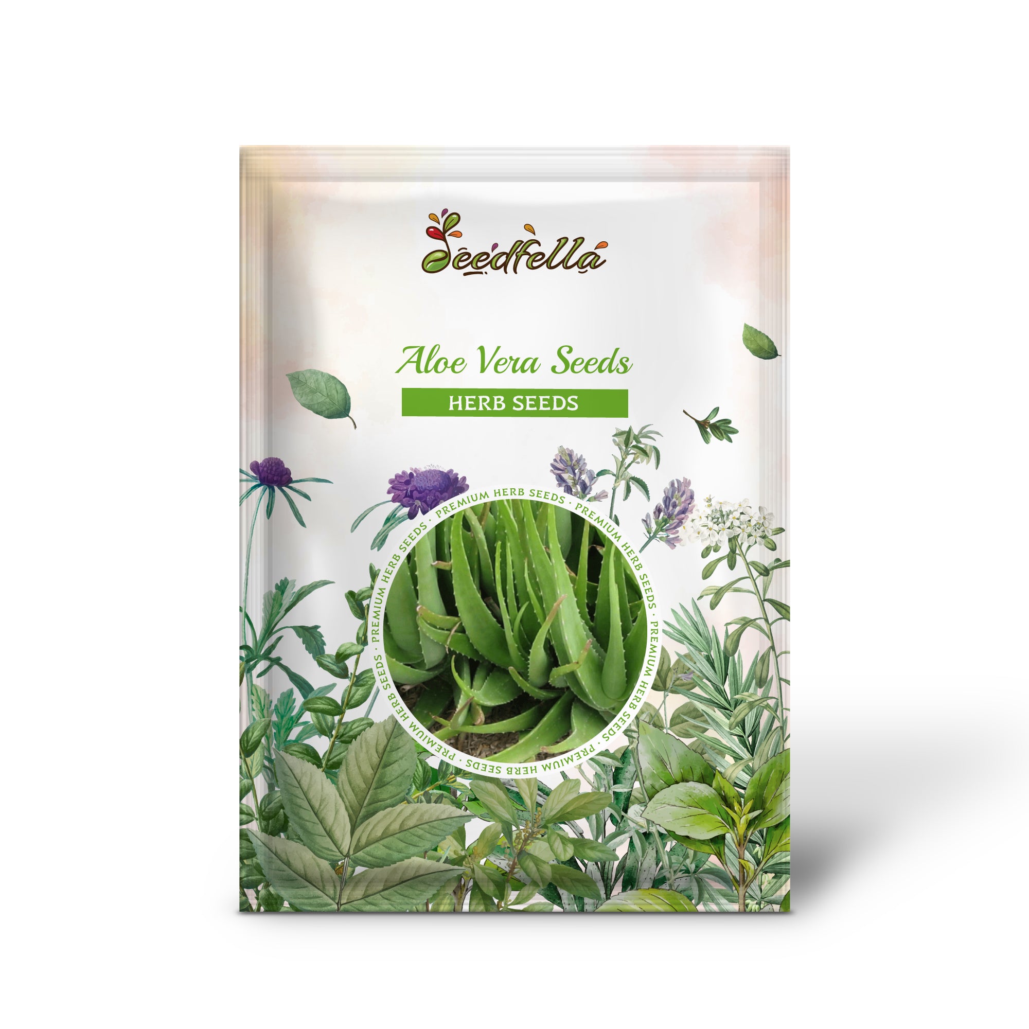 Aloe Vera green variety seeds germinating seedlings