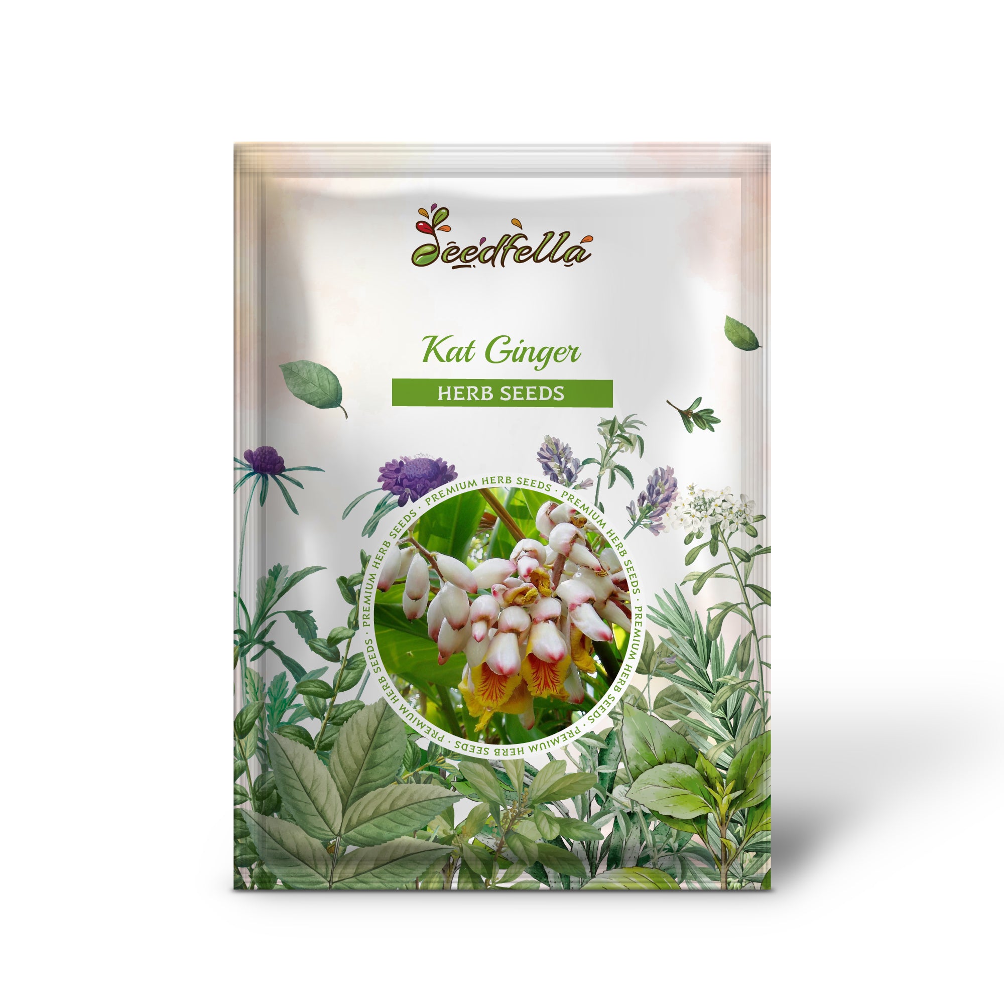 Alpinia katsumadai shell flower seeds